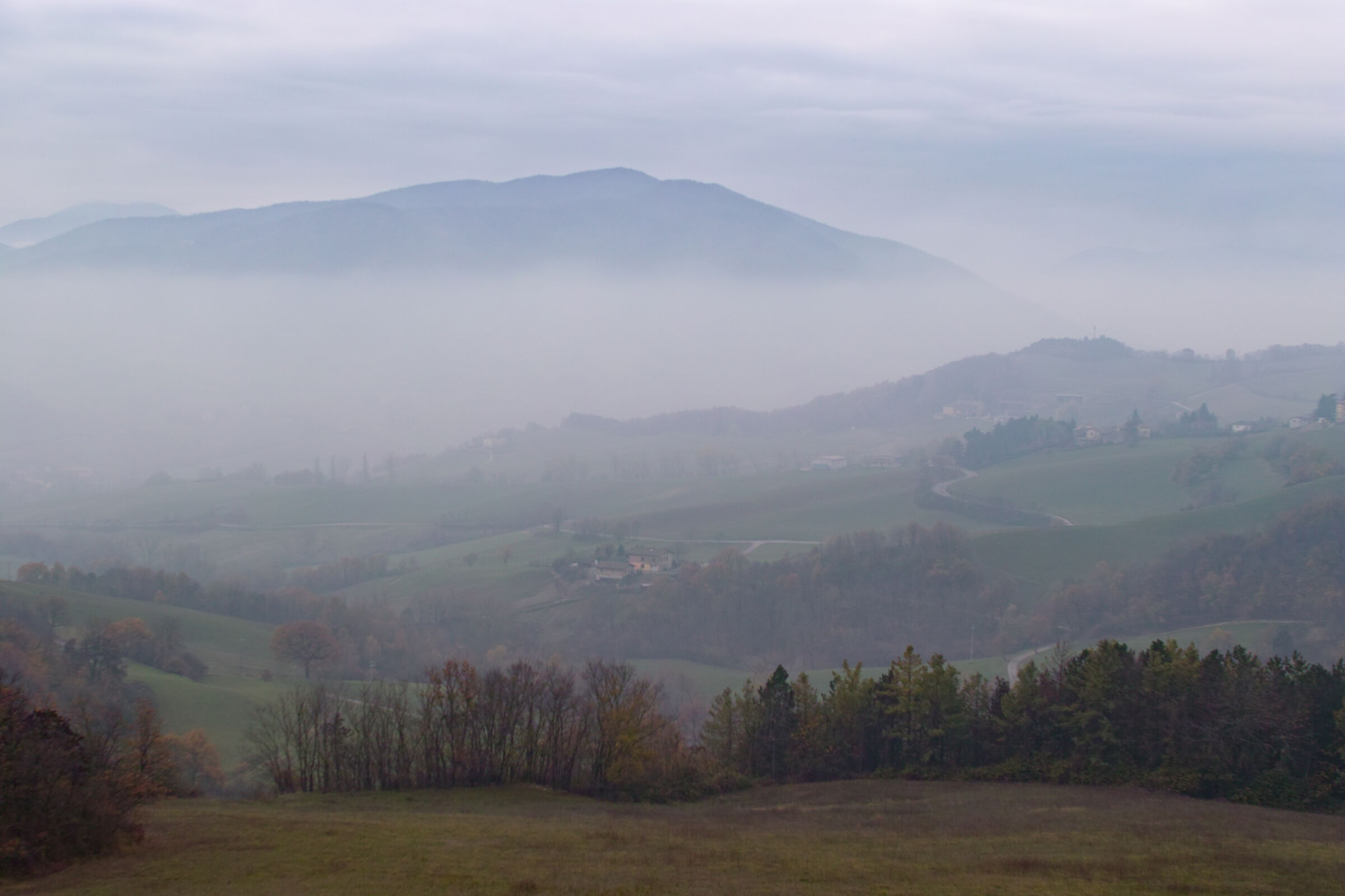 Nebbia in collina
