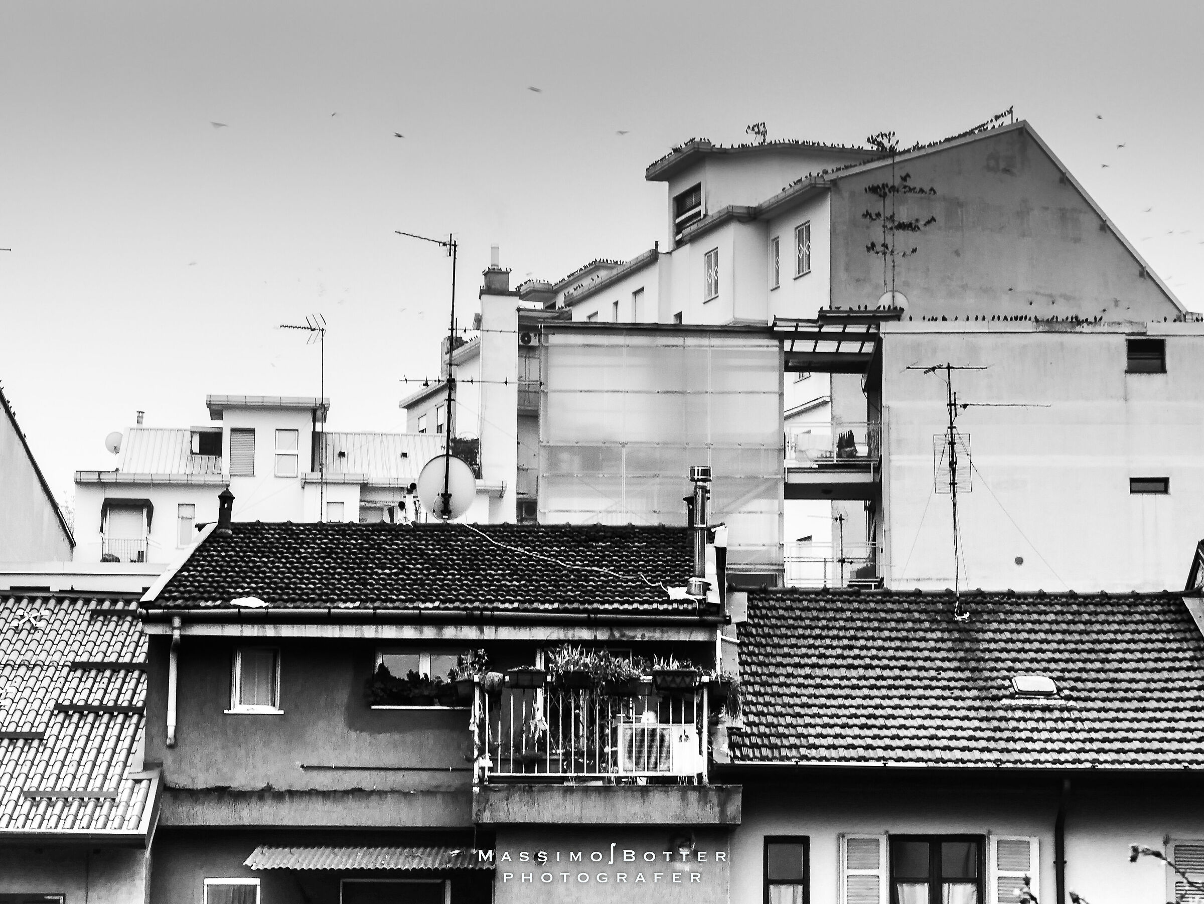 Martesana Milano 2020