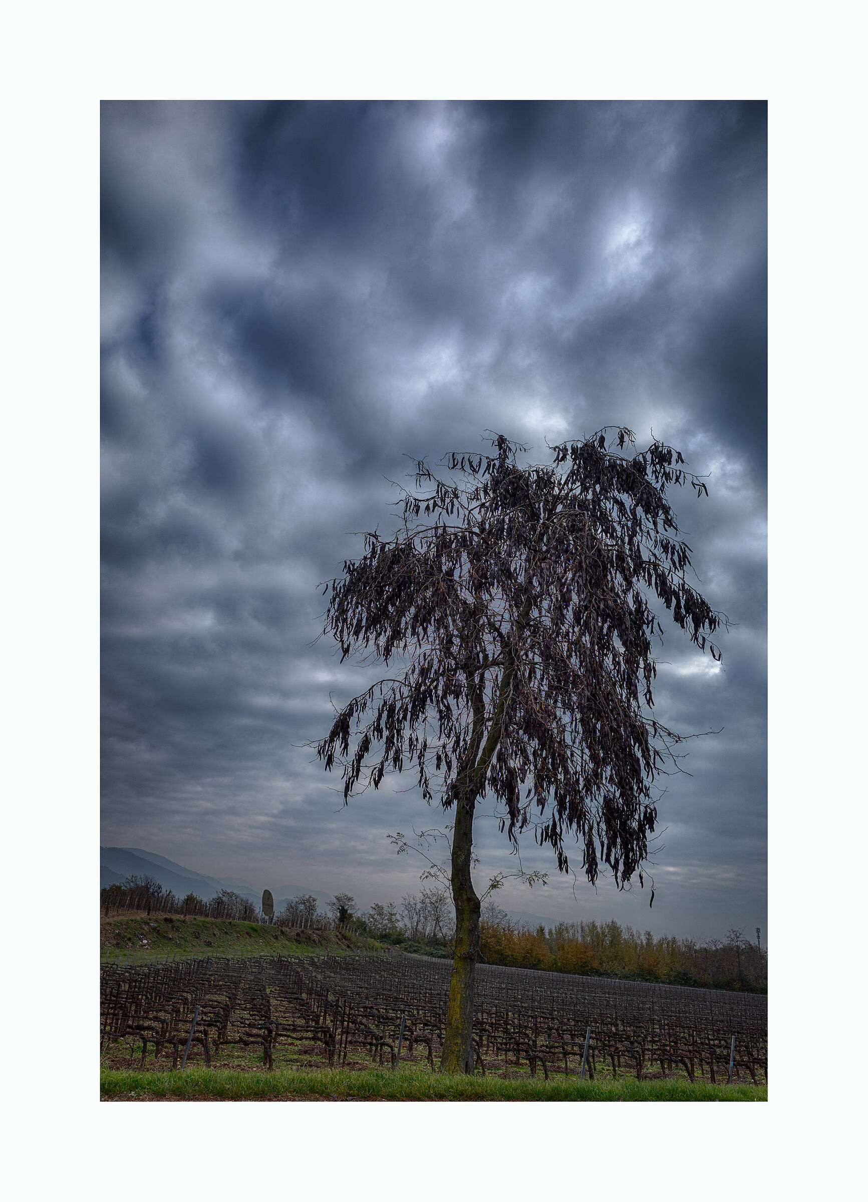Inchino alla stagione che cambia