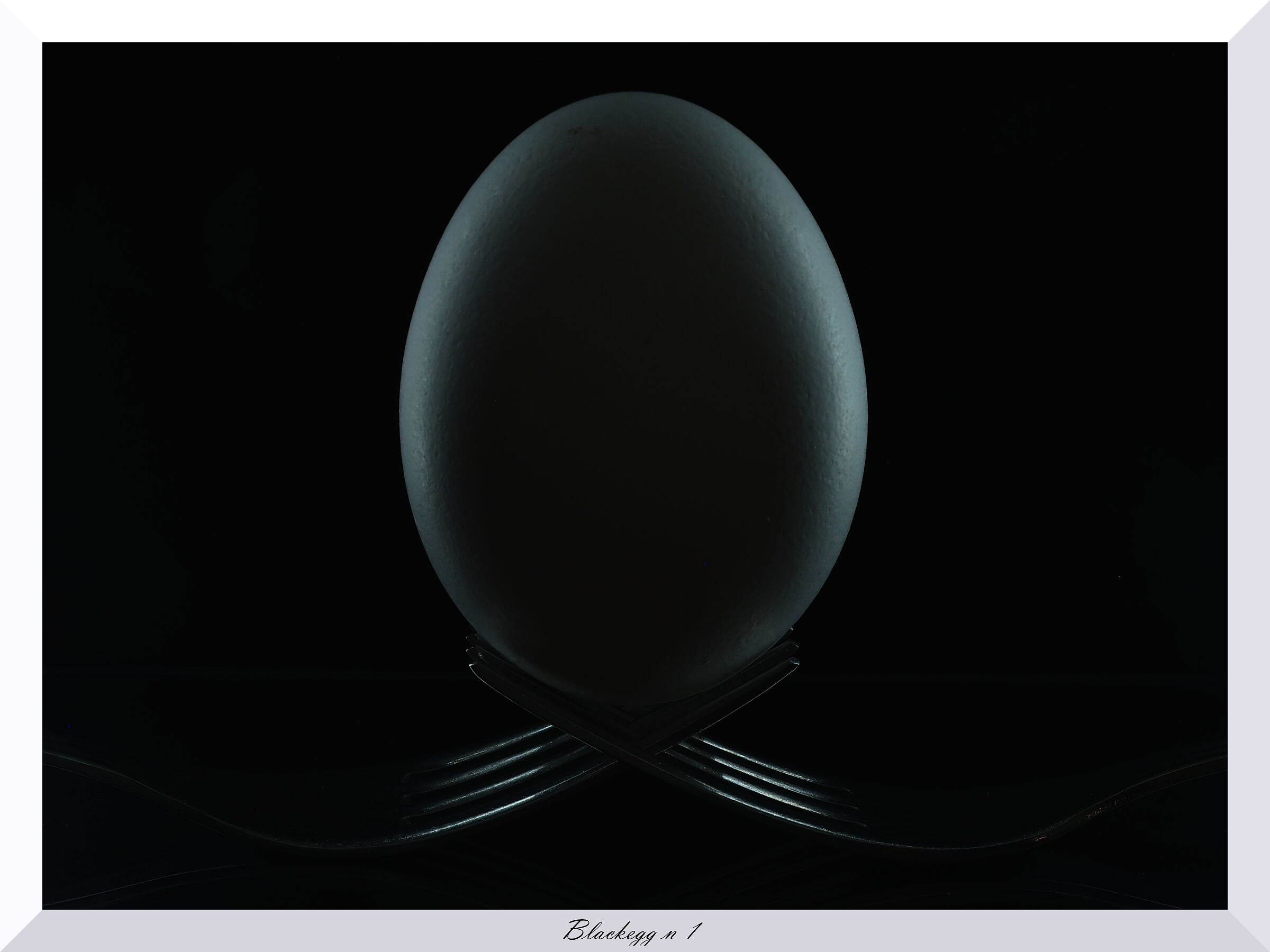 Black egg n 1
