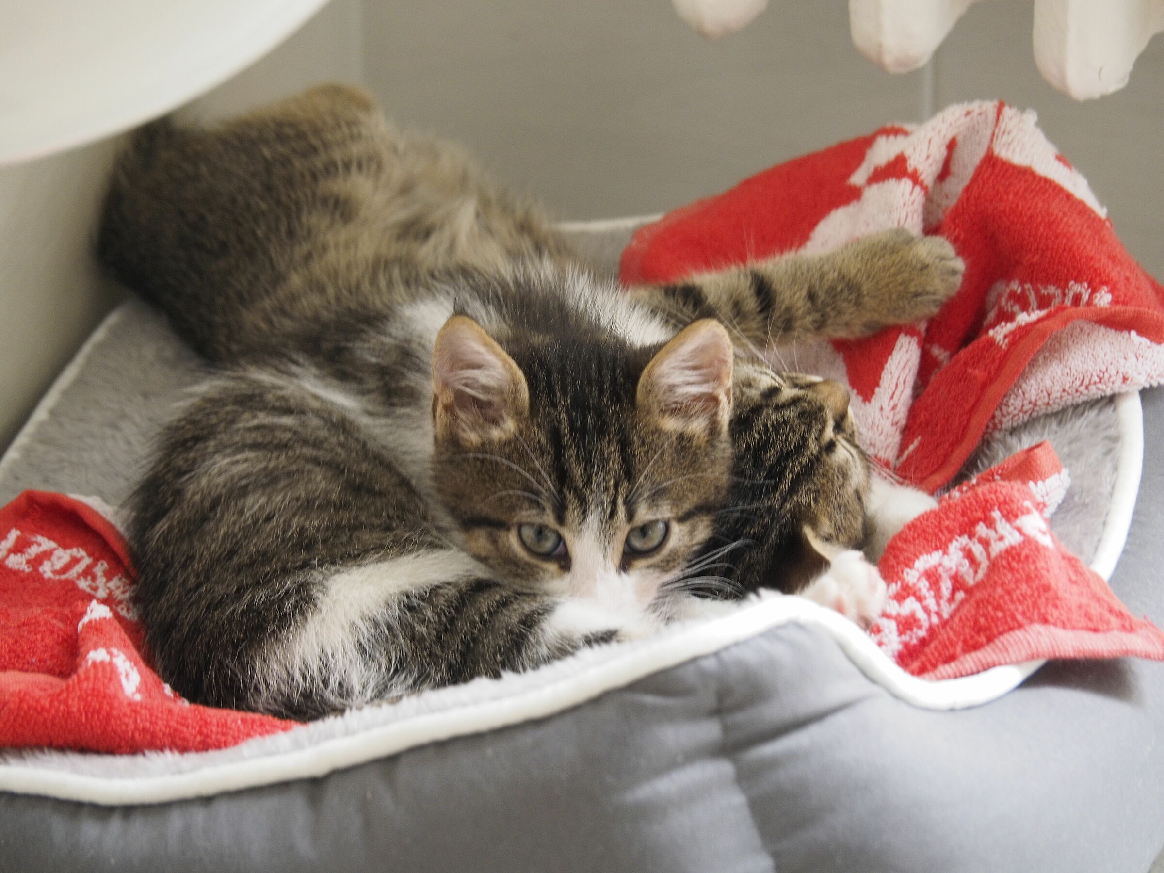 You sleep that I'm a guard!