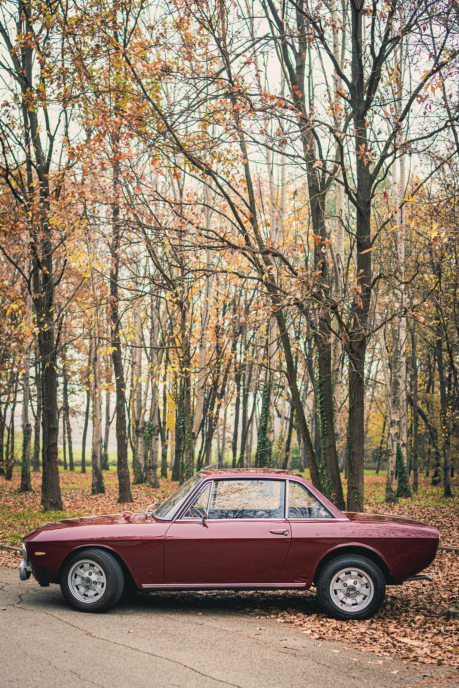 Mi piacciono le milf - Fulvia Coupe 1971