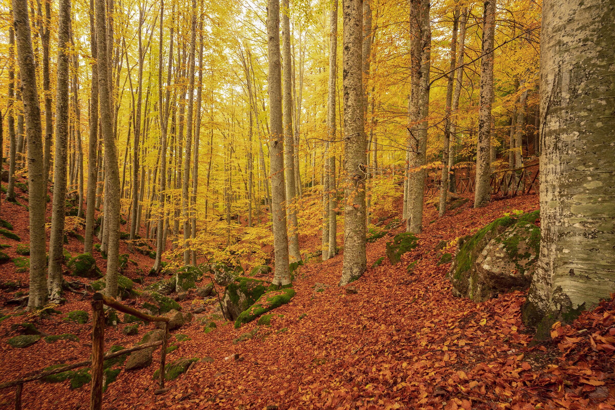 magic of colors, mount amiata