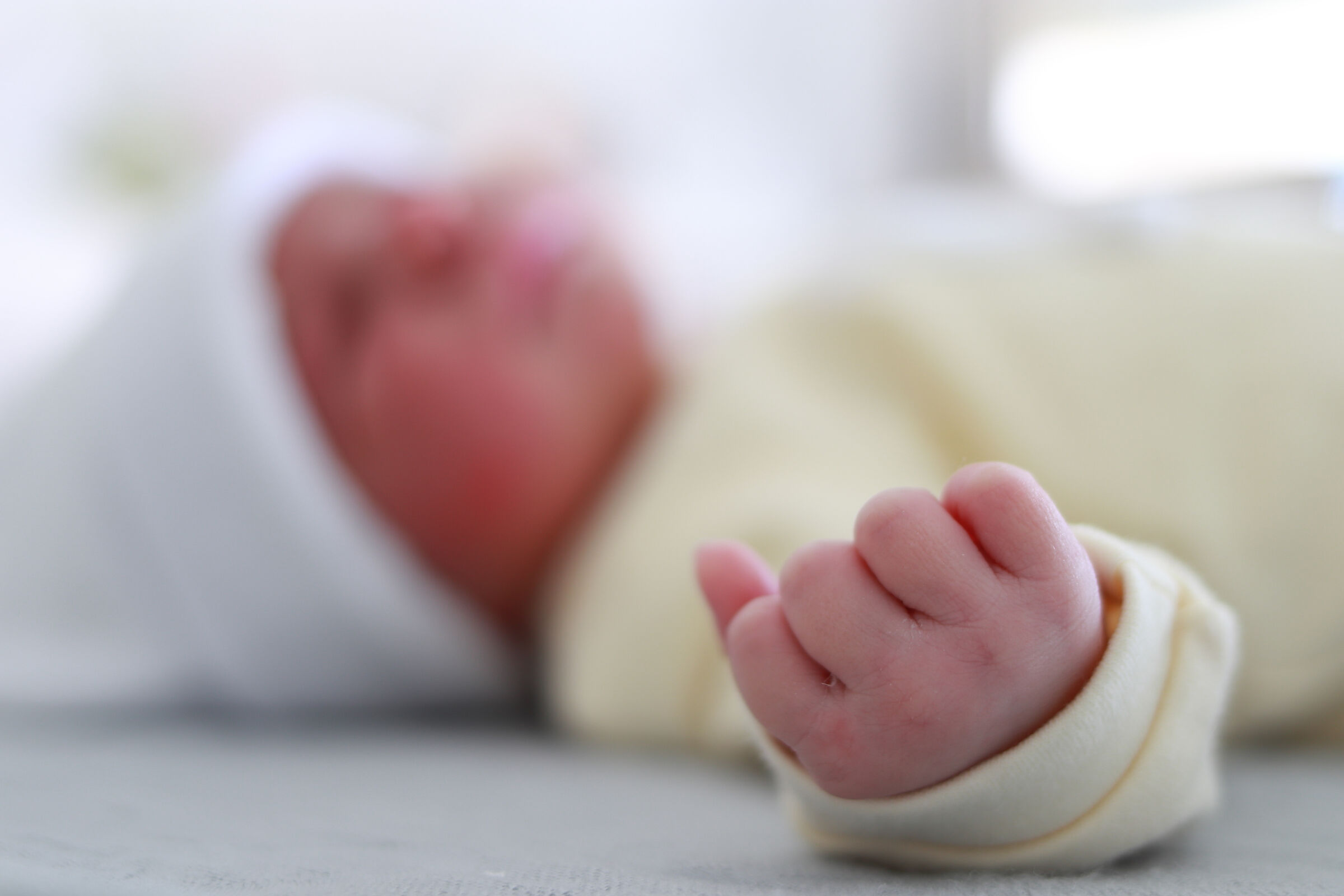 Un pugno di dolcezza