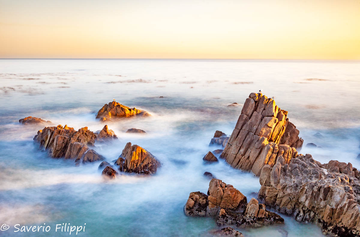 California - Monterey, Sunrise in Ocean View Blvd
