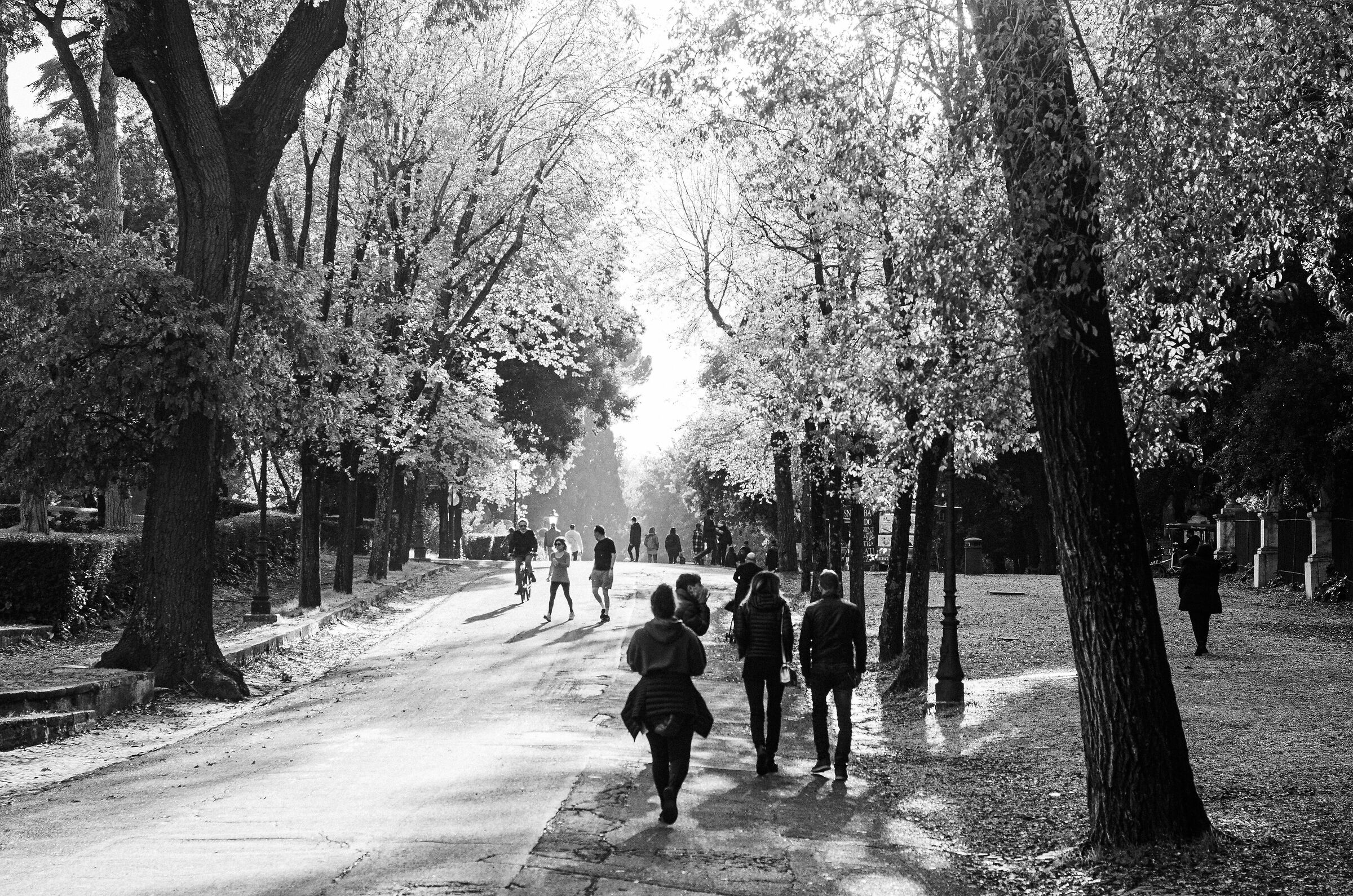 Passeggiate a Villa Borghese