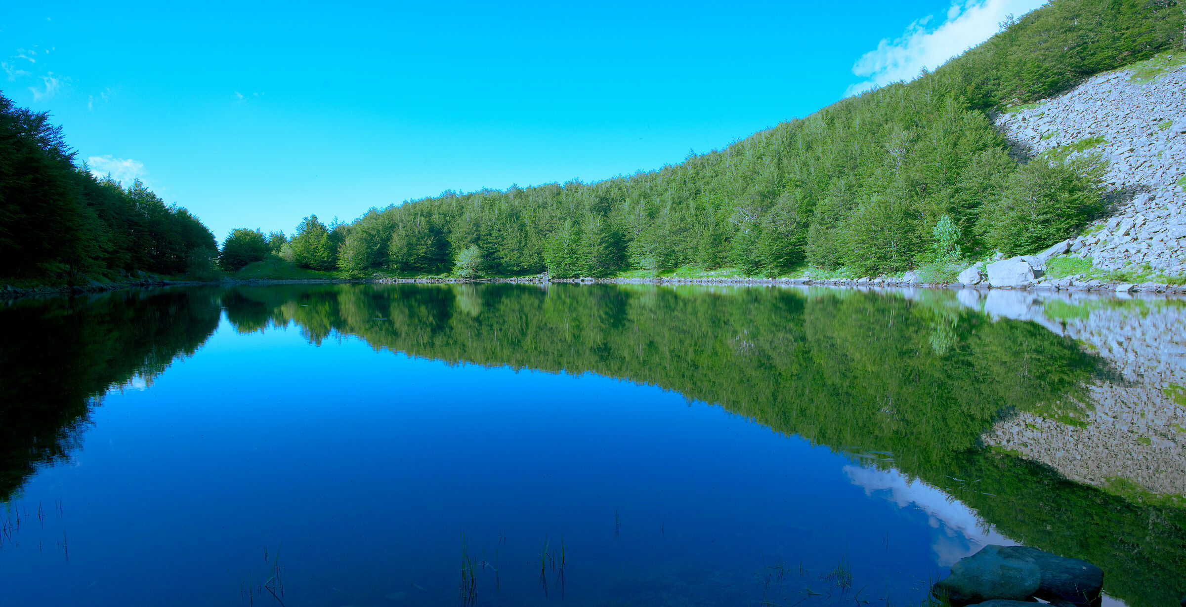 Reflections..... Lake Palo