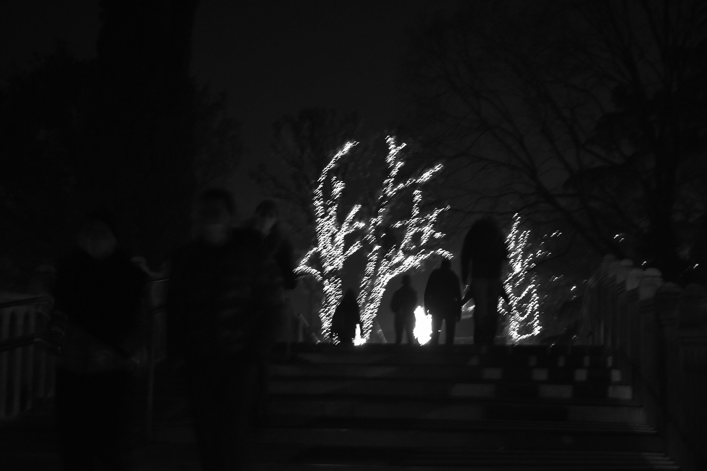 Luci invernali a Venezia