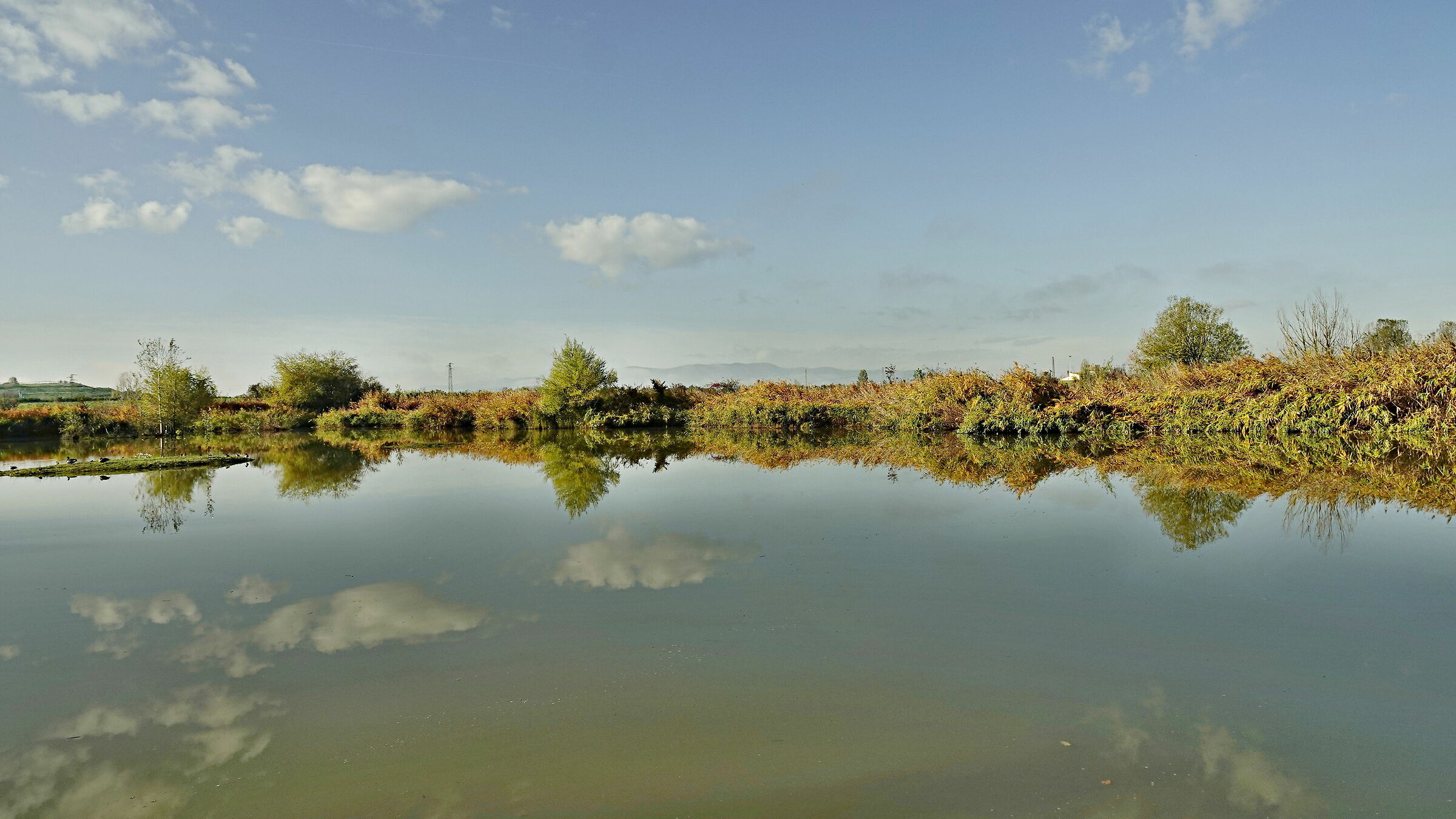 Calma . . . respira . . . calma