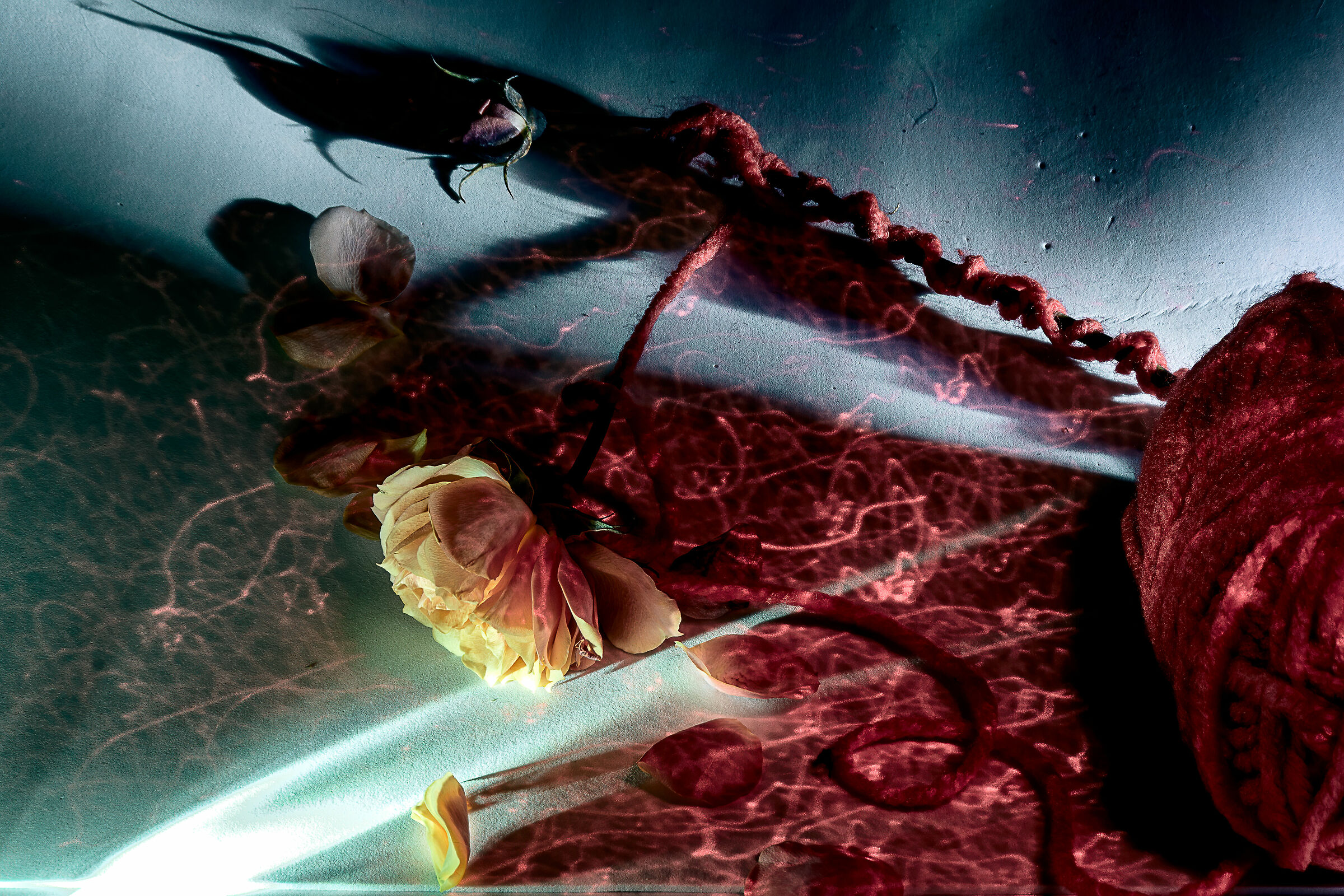 caducita 1 che palle sto covid