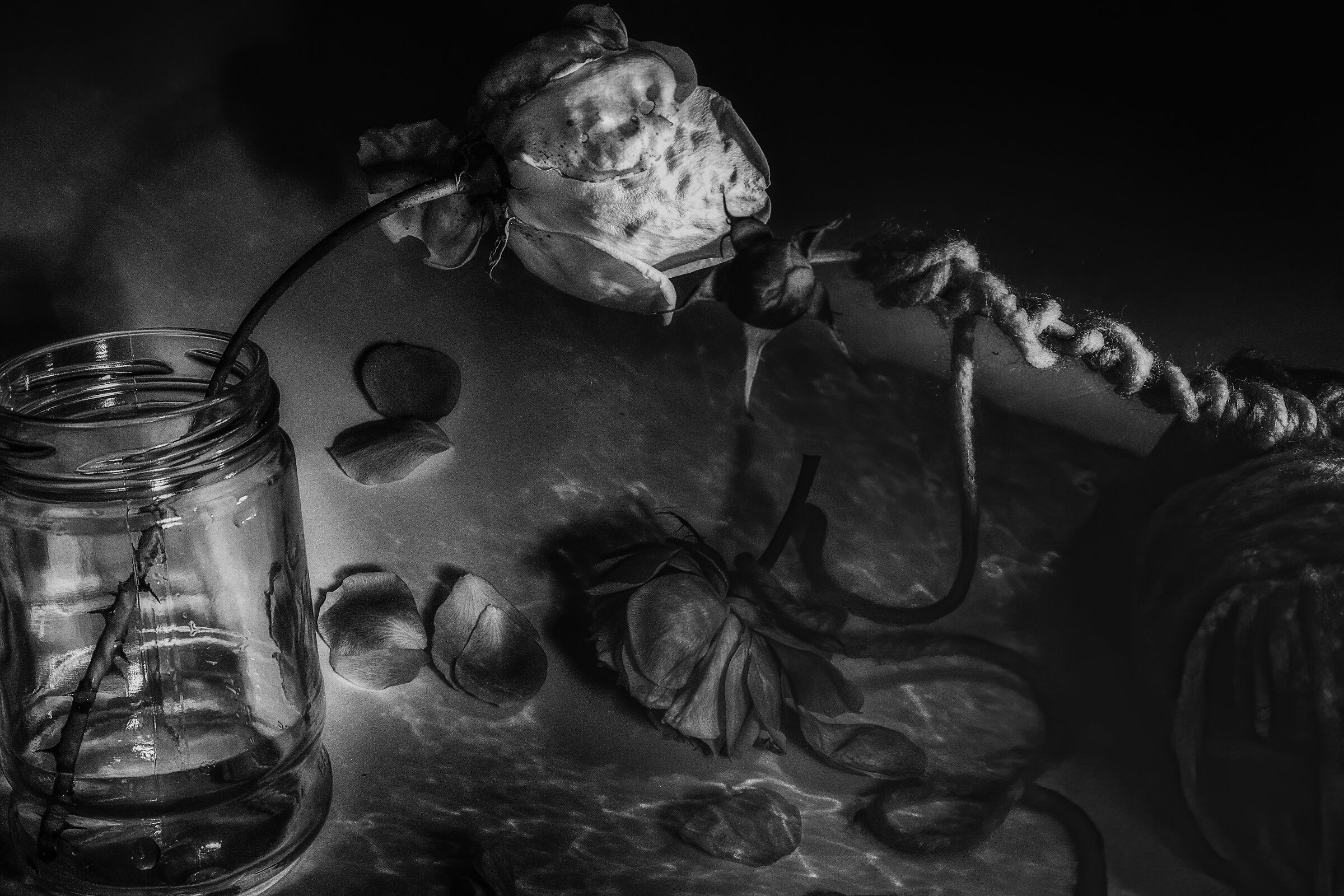 caducita 2 che palle sto covid