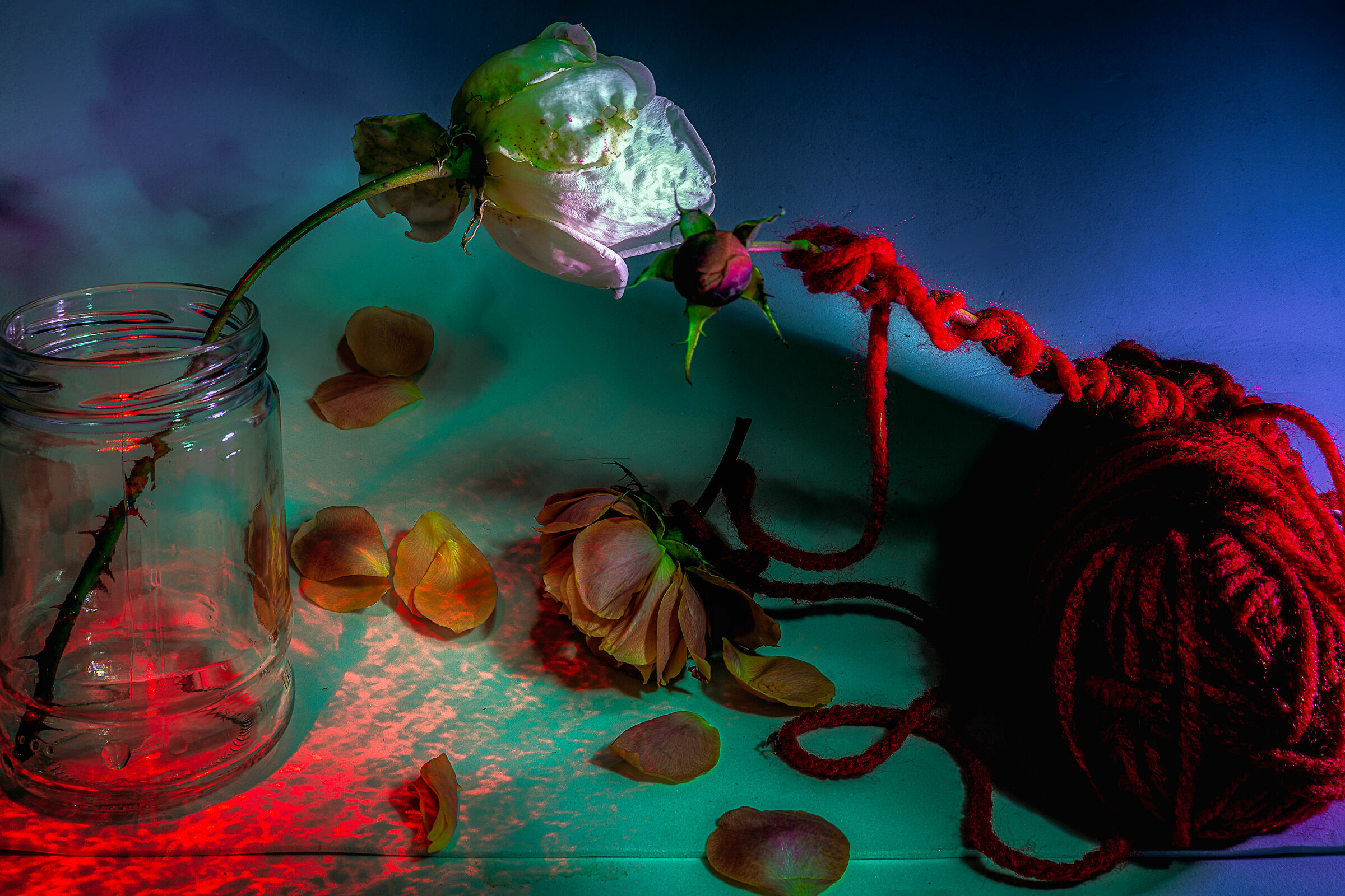 caducita 4 che palle sto covid