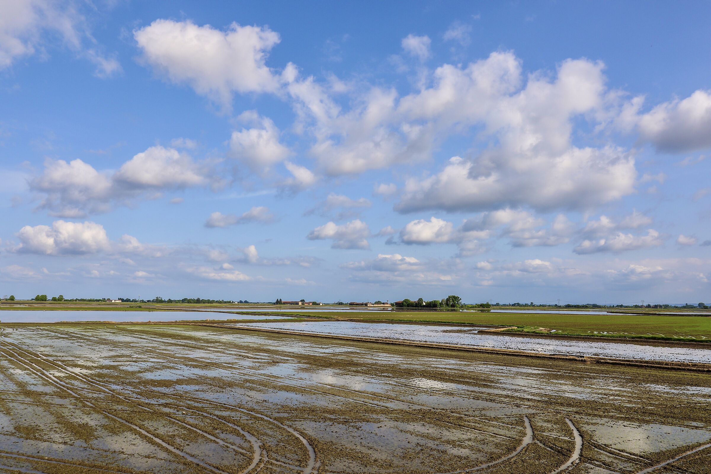 Vercellese, terre d'acqua.