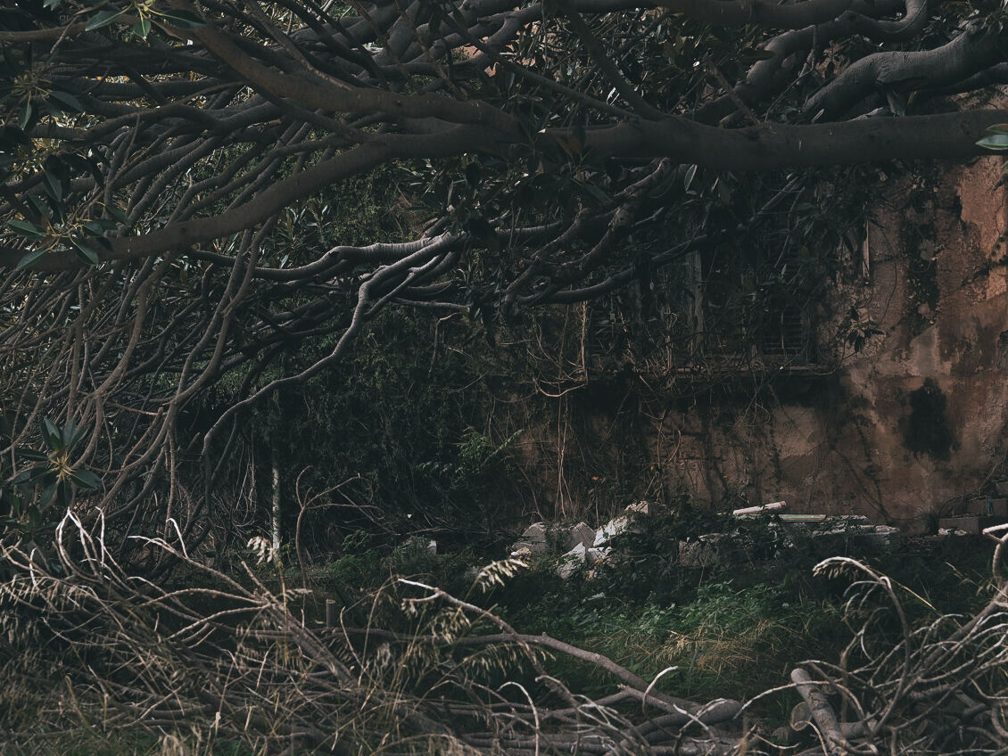 Nascosto in piena vista