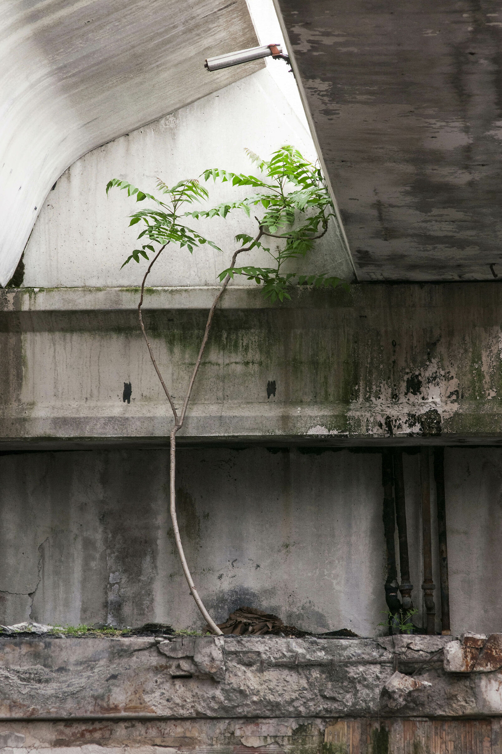 Untitled Photo