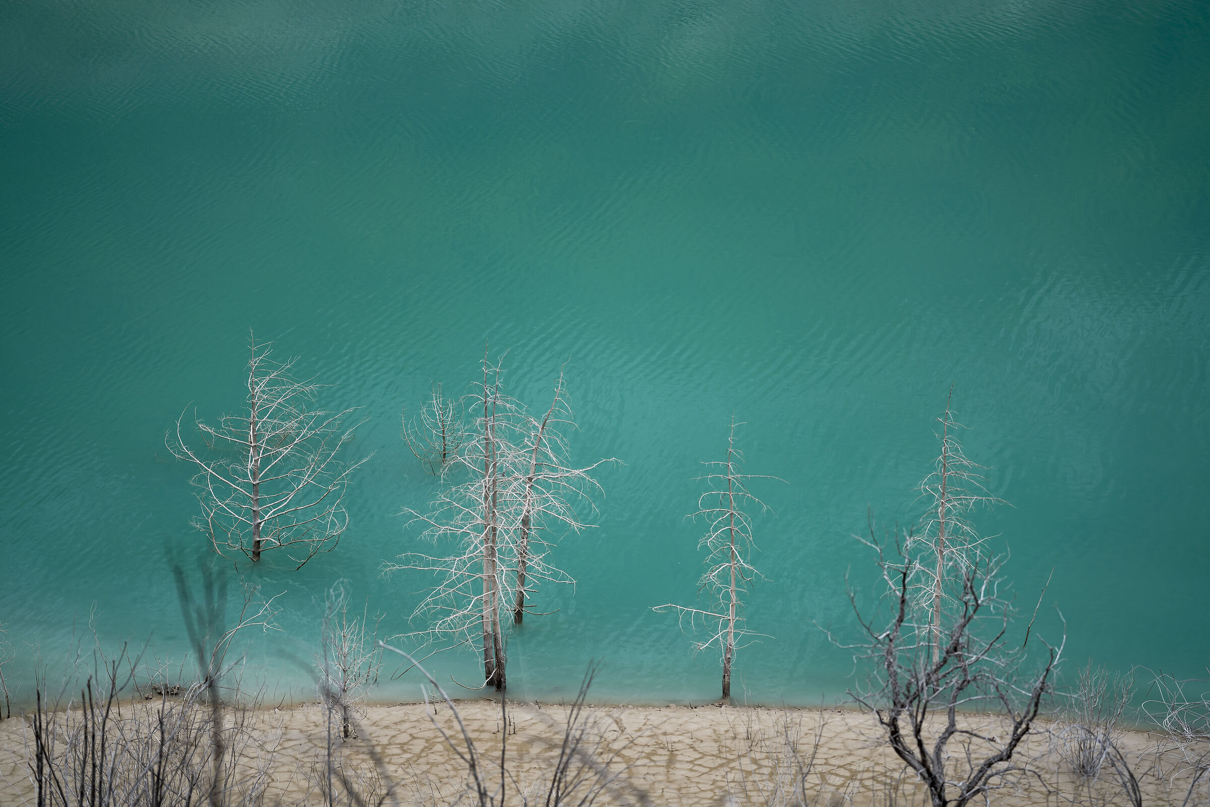 Resuscitare a Ravedis (pn)