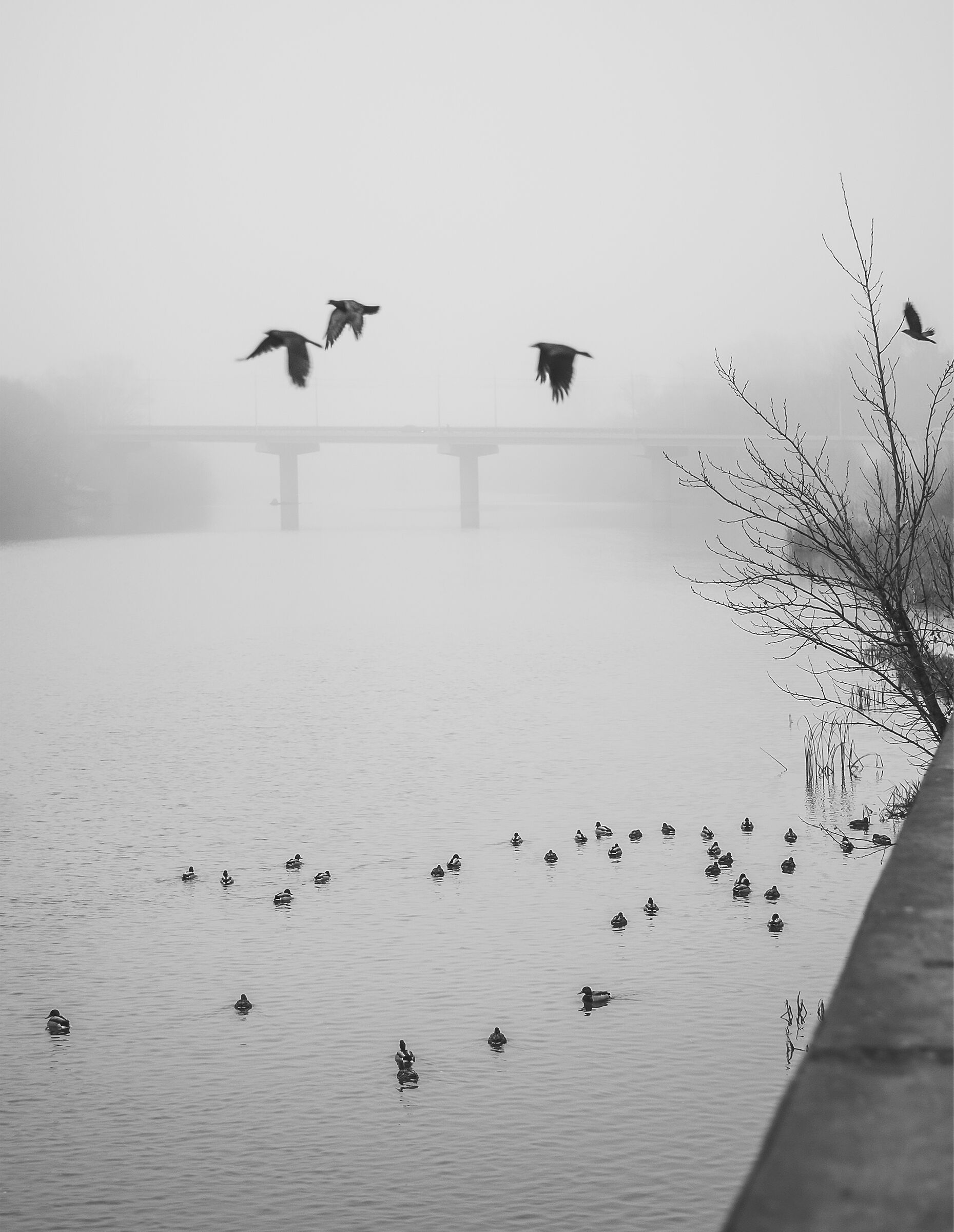 ... Una mattina di novembre ...