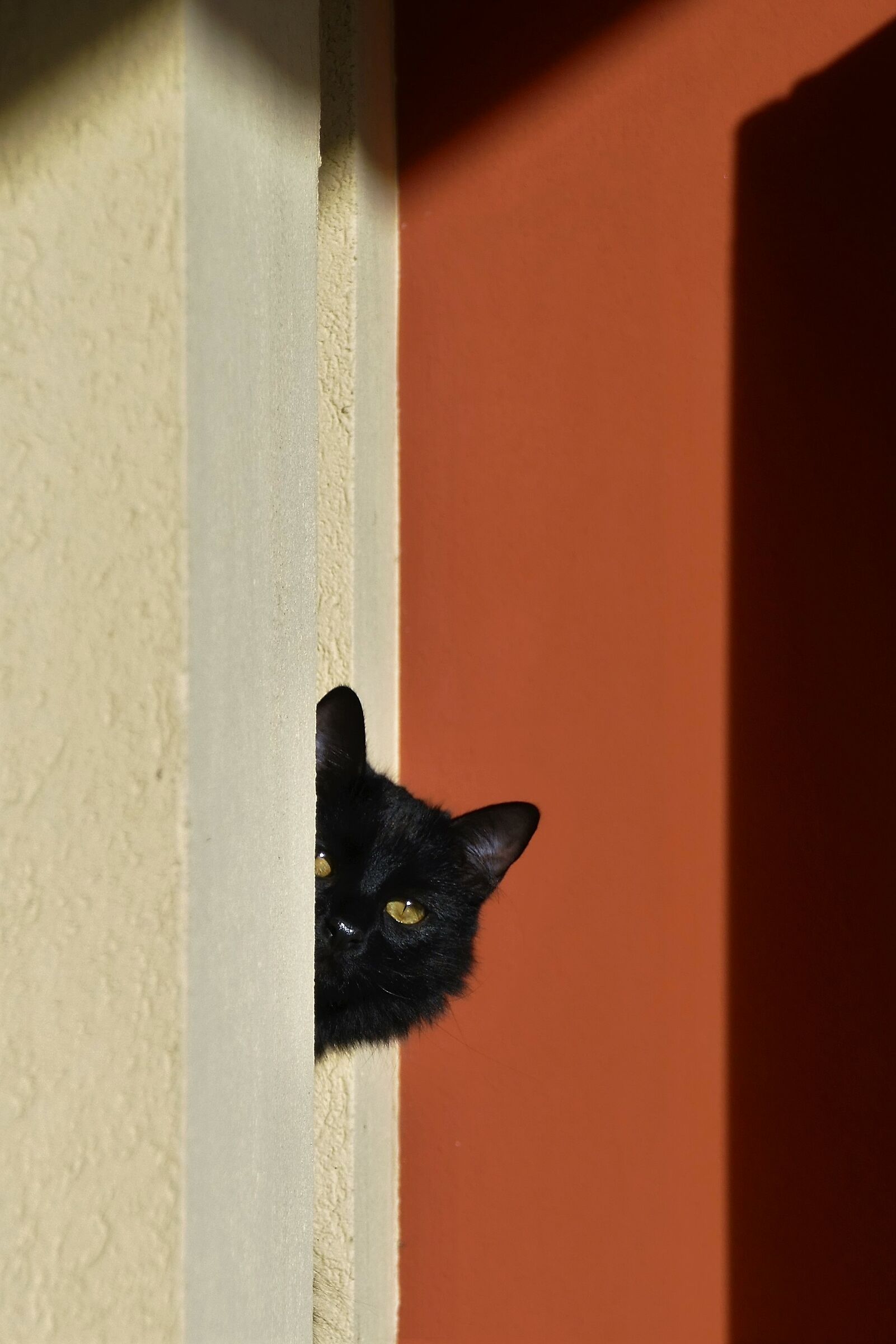 Kiki