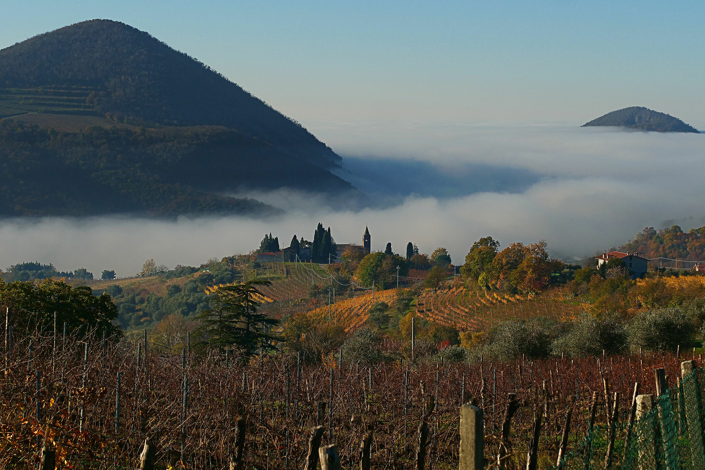 colli euganei nella nebbia