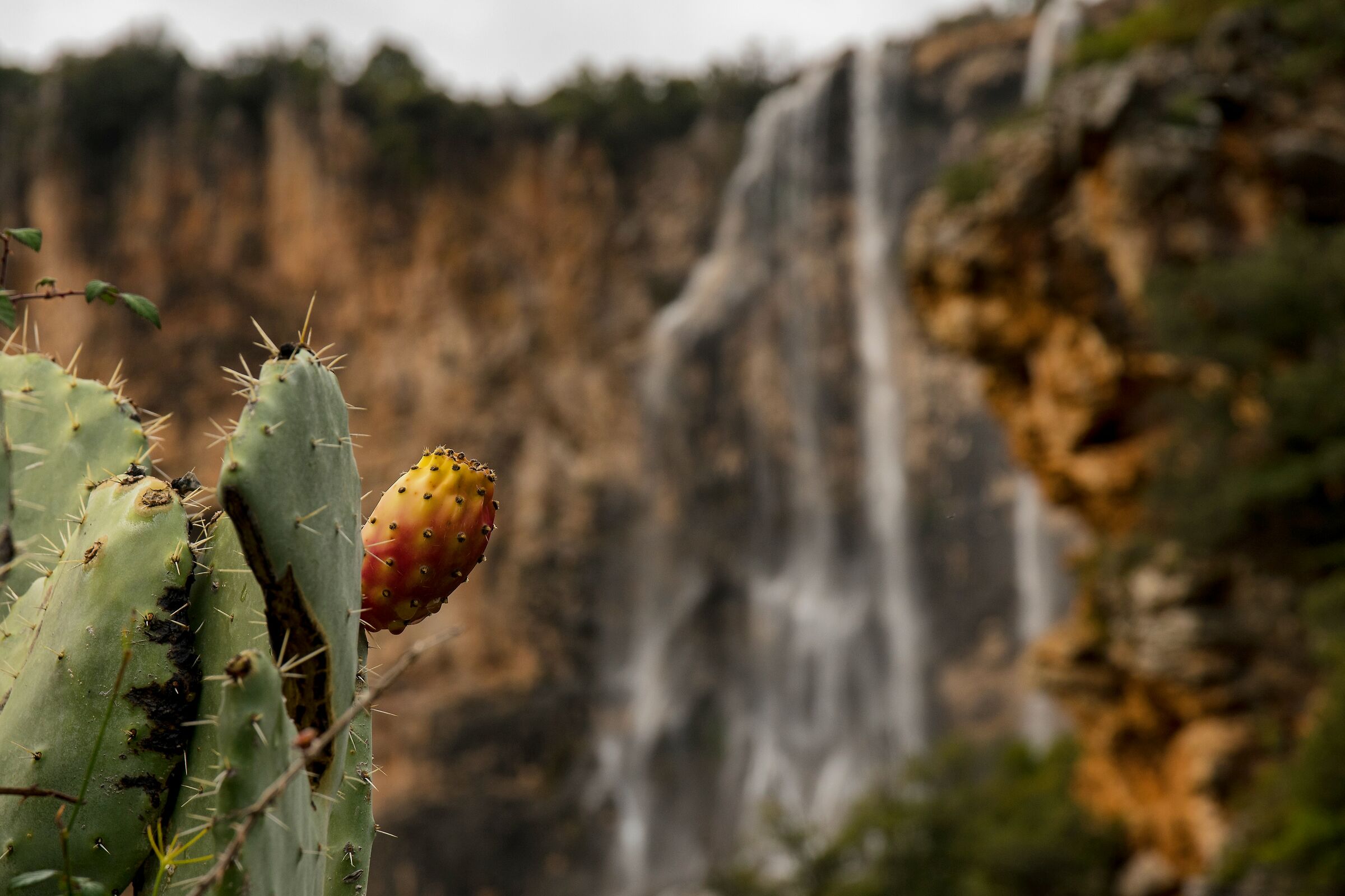Lequarci Falls