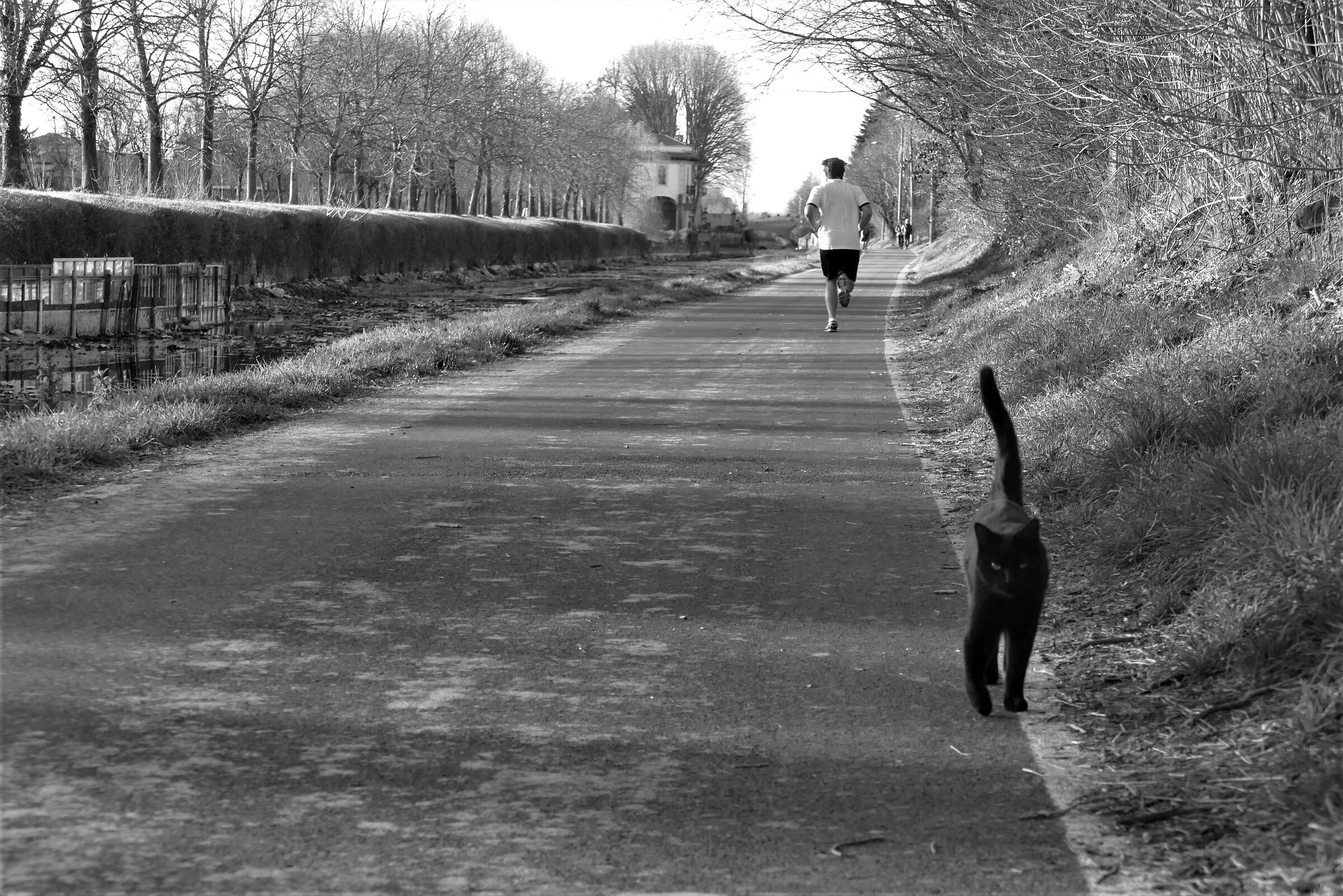 Untitled Photo
