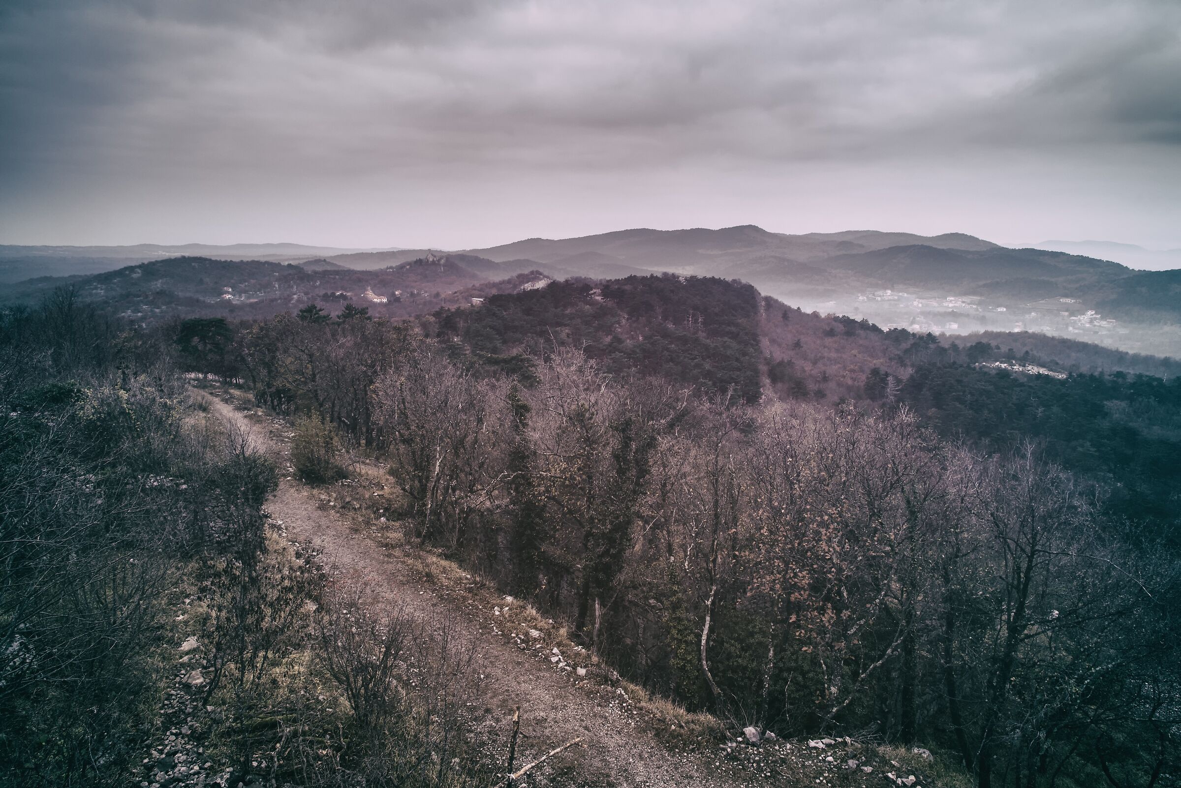 top of Mount Orsario in Trieste