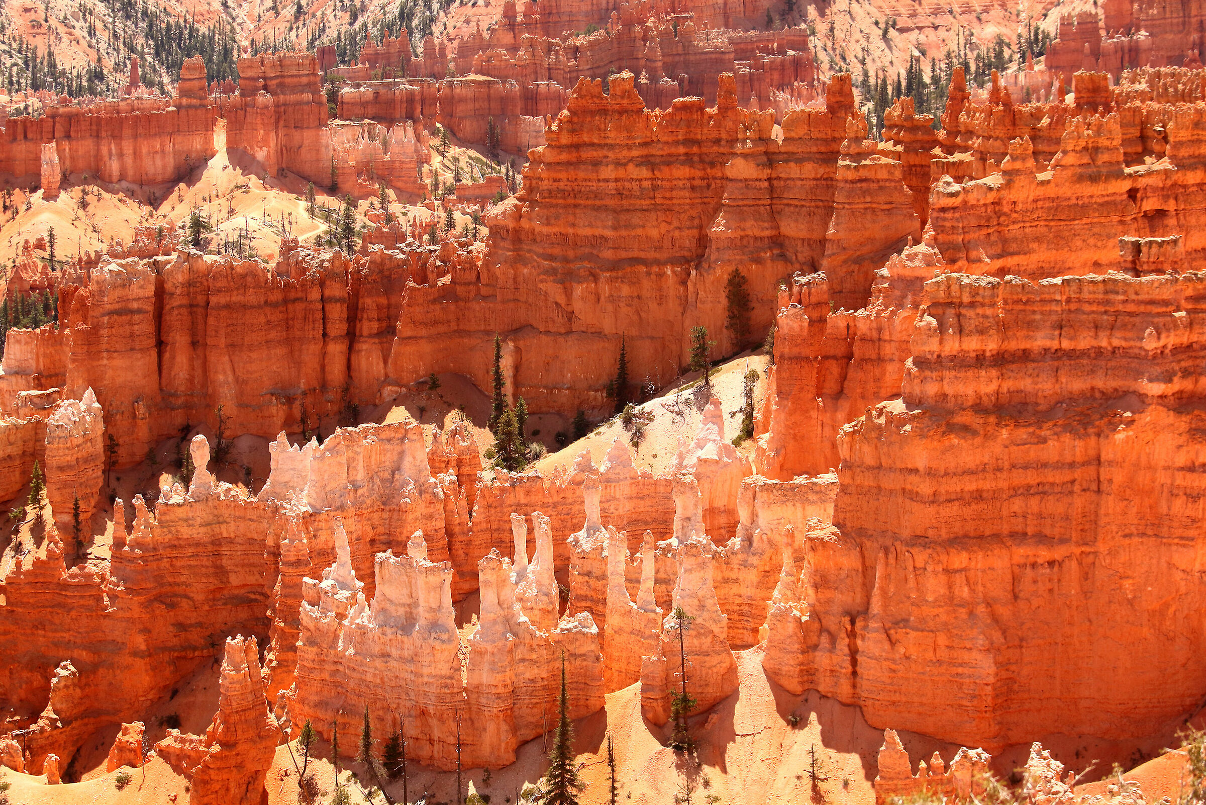pinnacoli del Bryce canyon