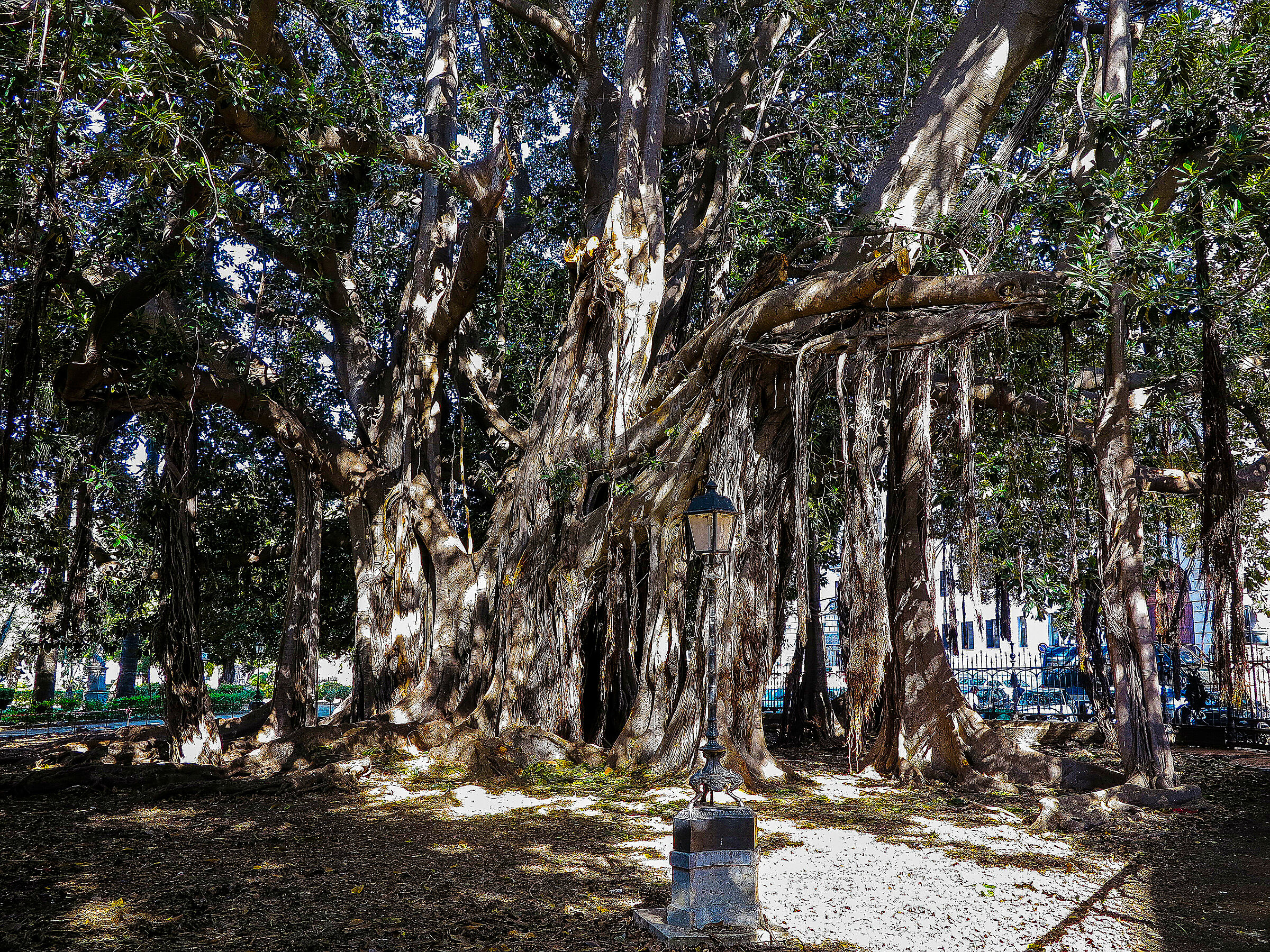 Garibaldi Garden -Palermo