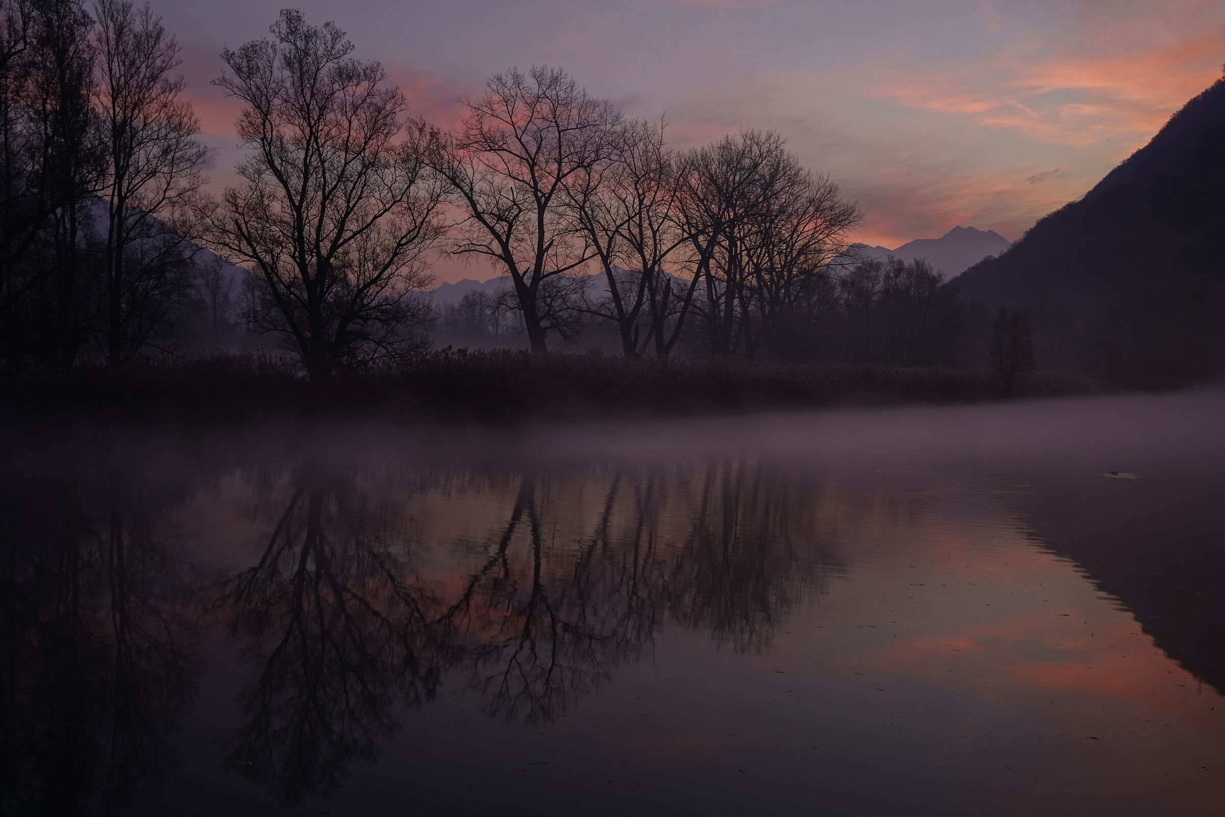 Sunrise