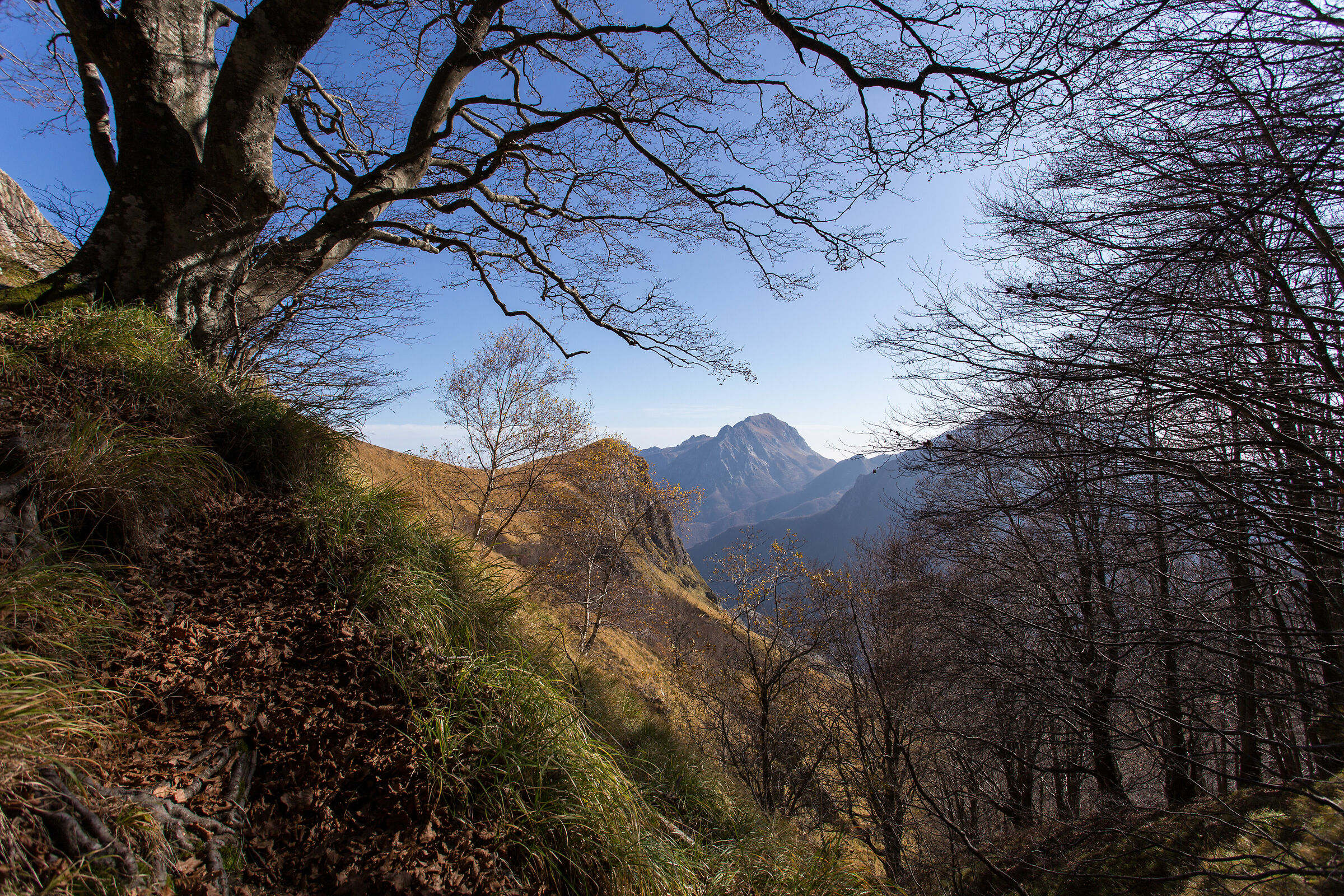 vista su Pania