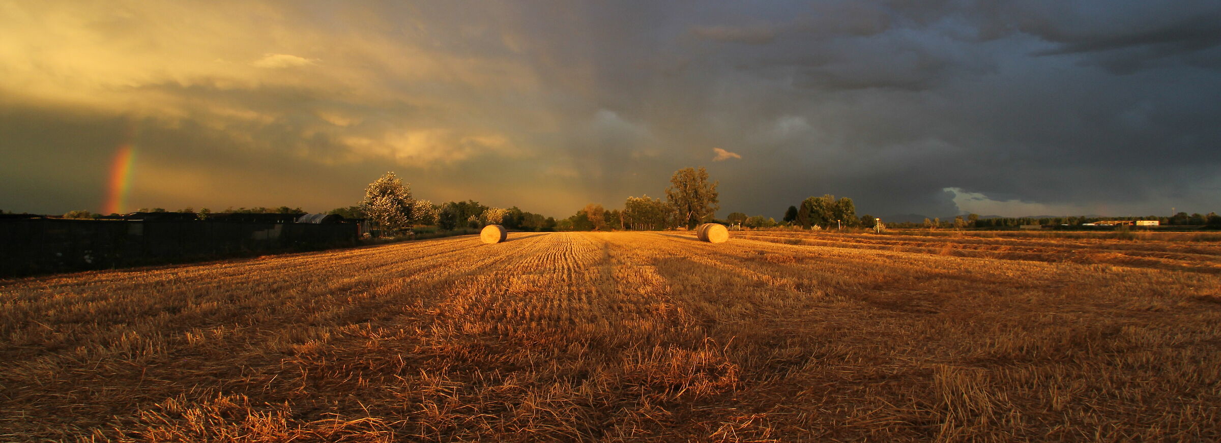 Campagna alessandrina