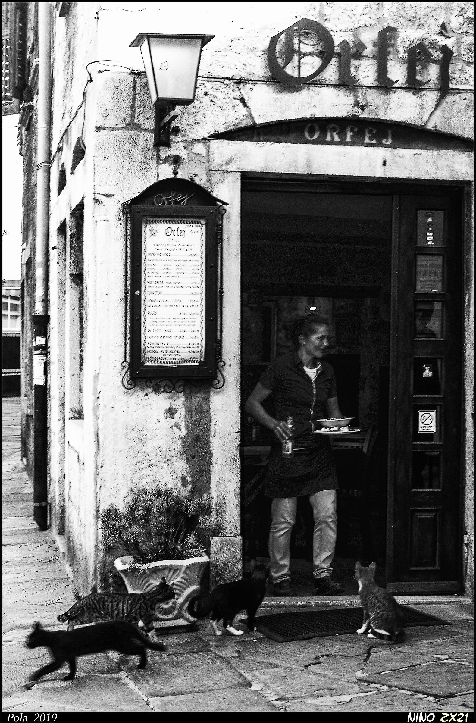 Il pranzo è servito