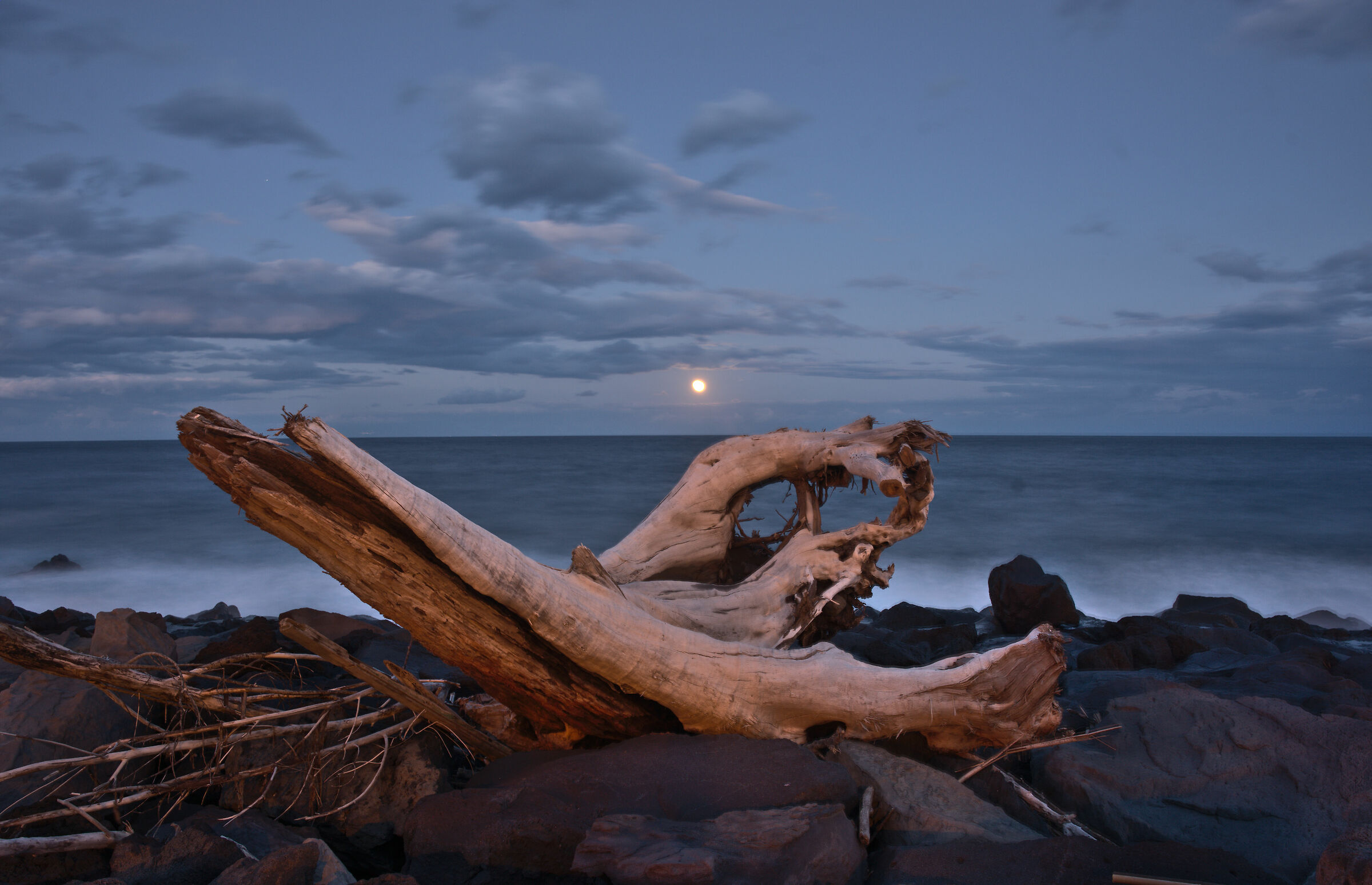 Returned from the sea