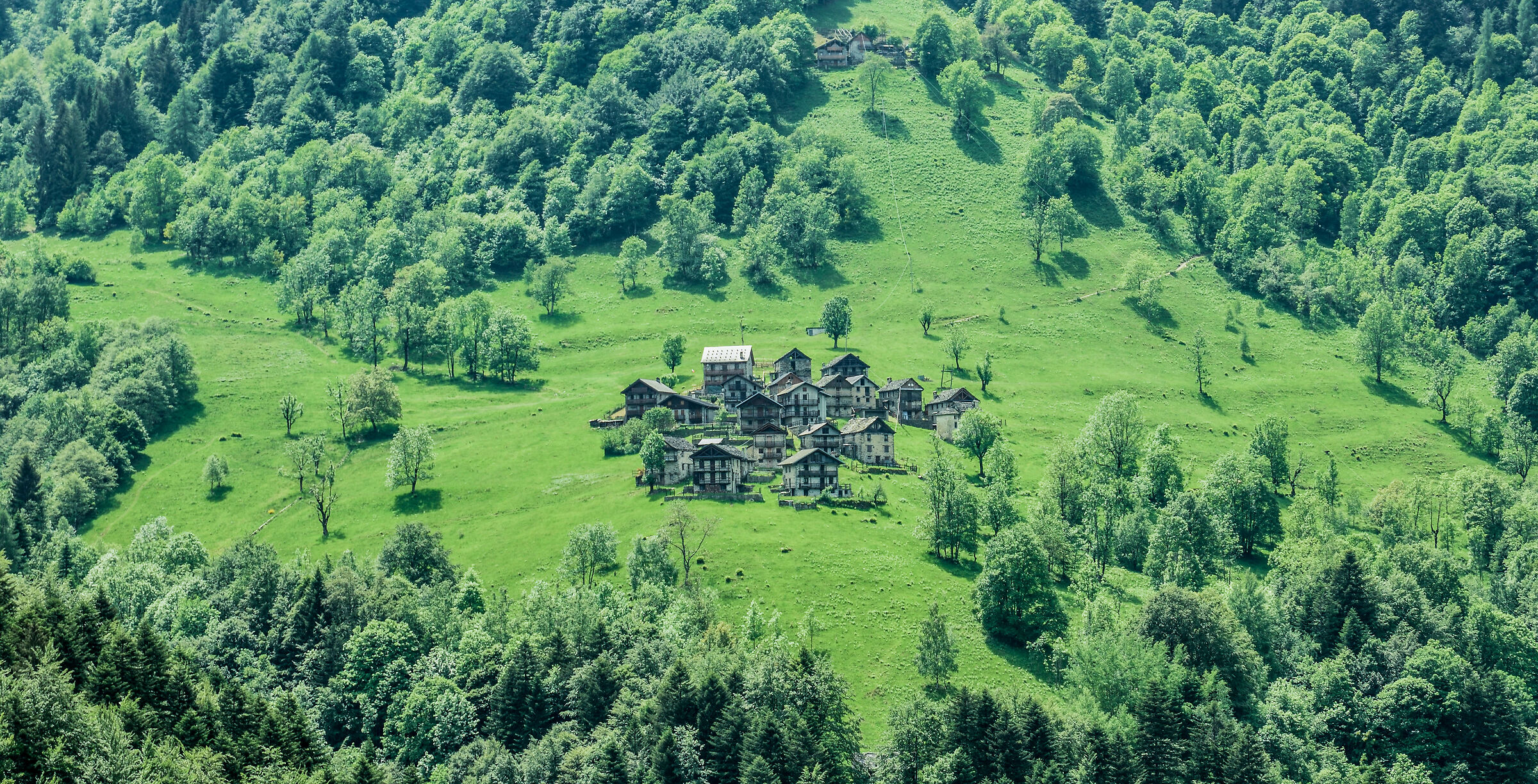 Cervatto - fraz. Oro negro