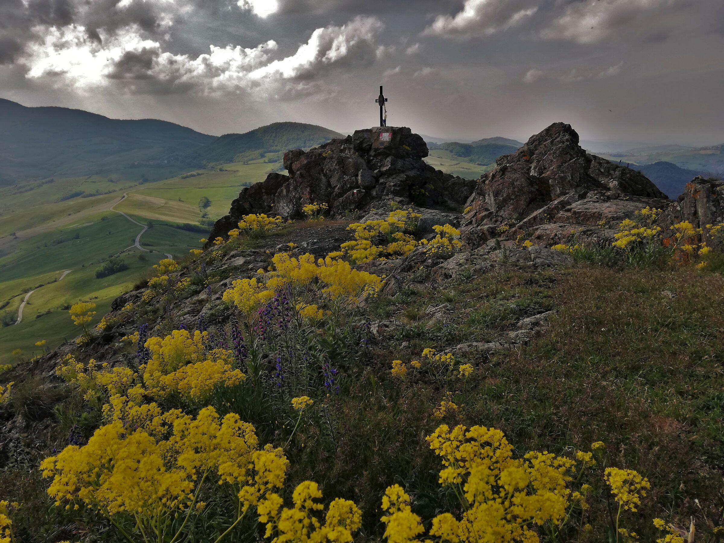 pietra Parcellara e fiori gialli..