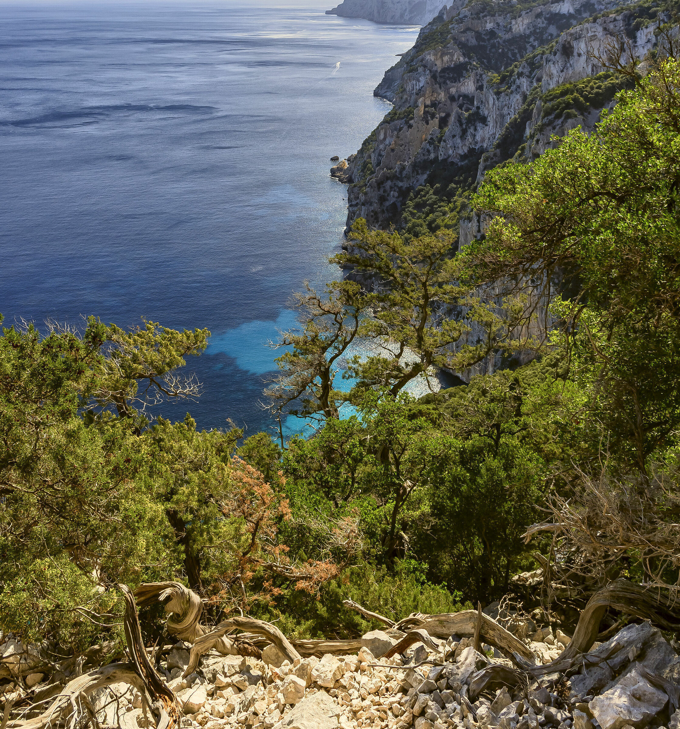 Panorama dal Selvaggio