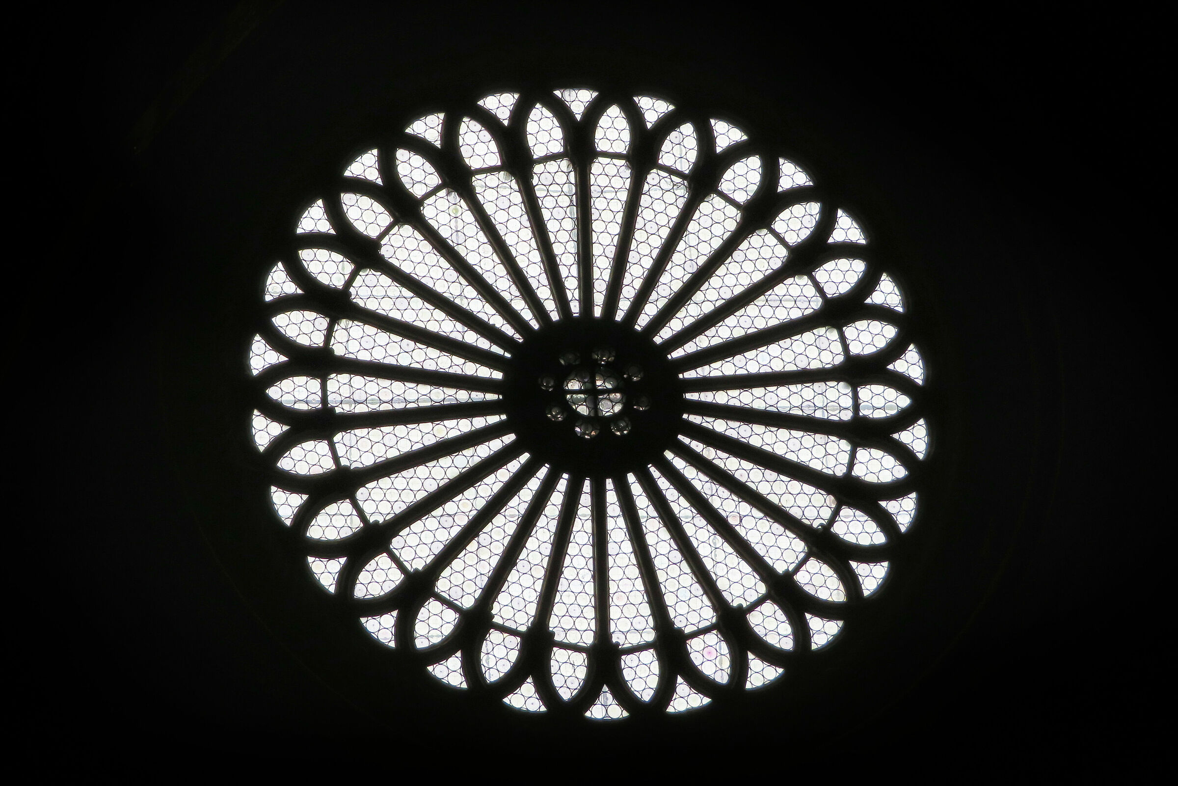 Silhouette - Rosone centrale del duomo di Cremona