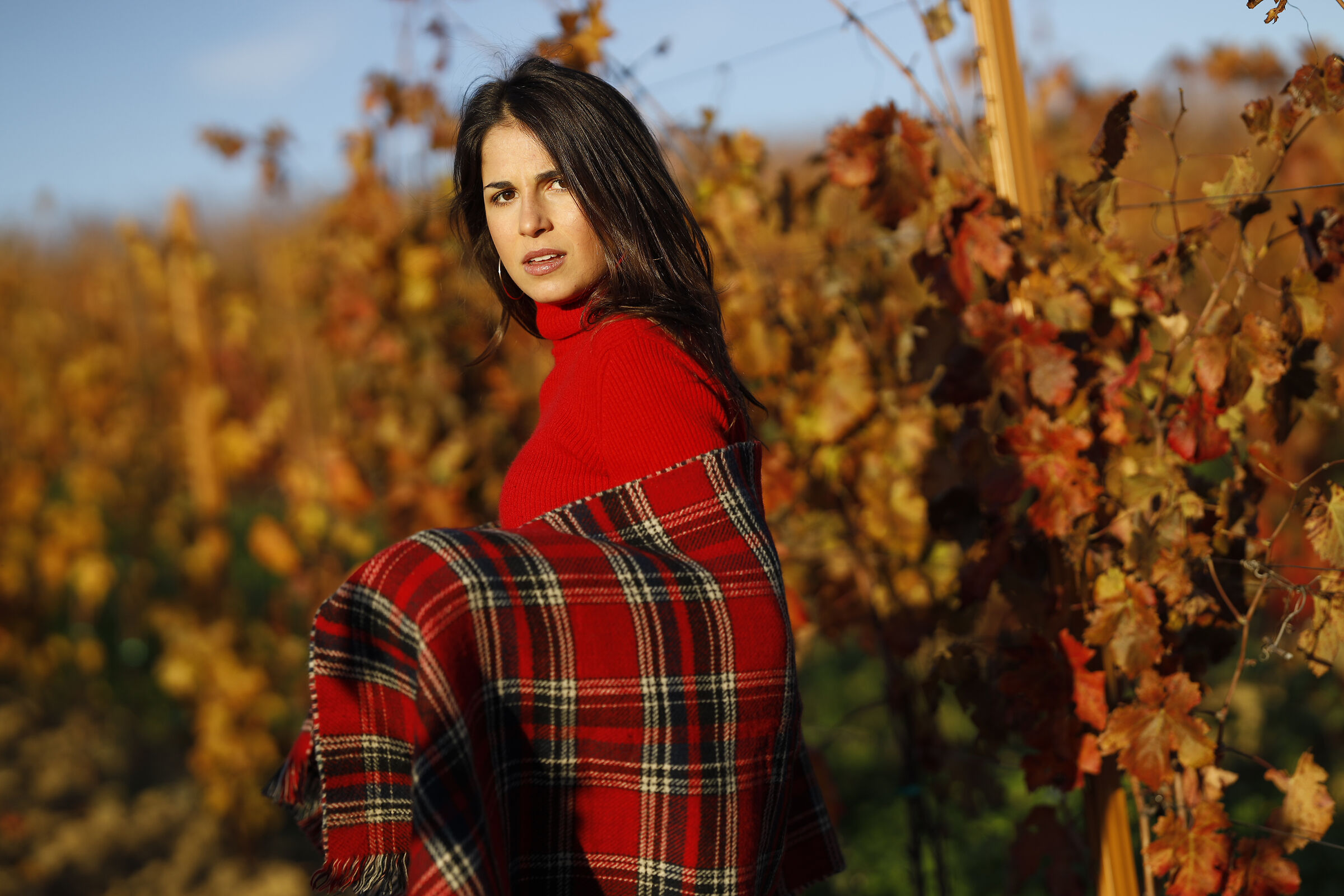 Sweet November - Il caldo sole del tramonto