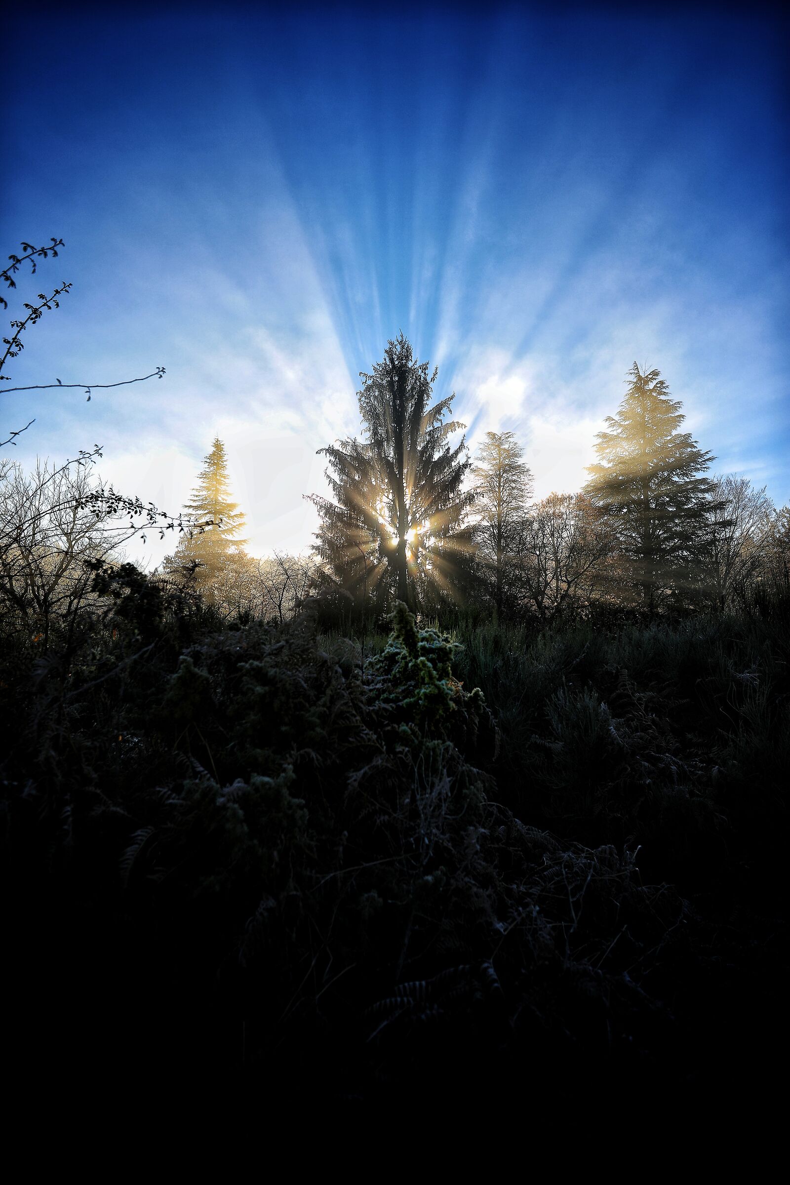 Light always rises from darkness
