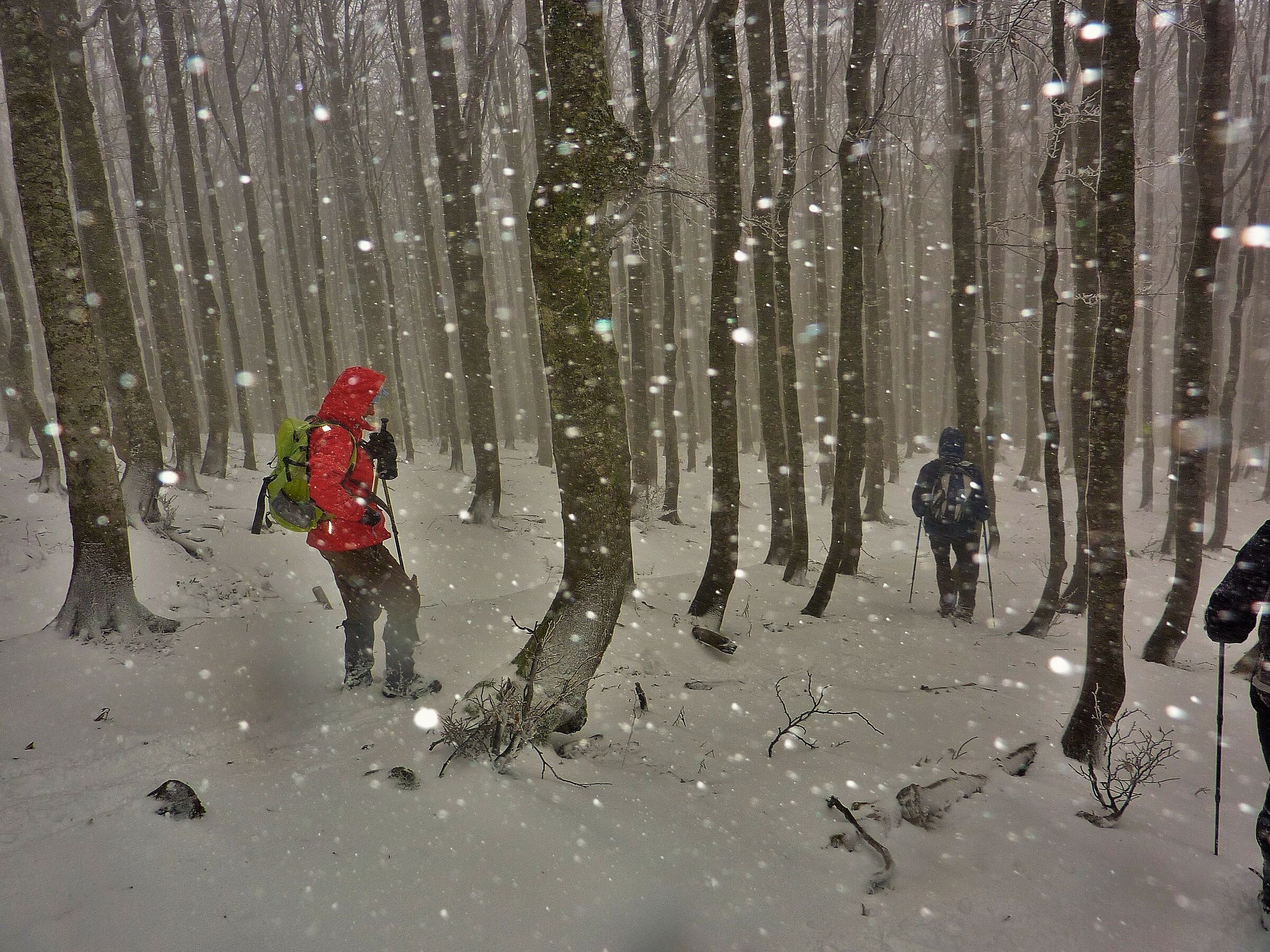 snow all of a sudden