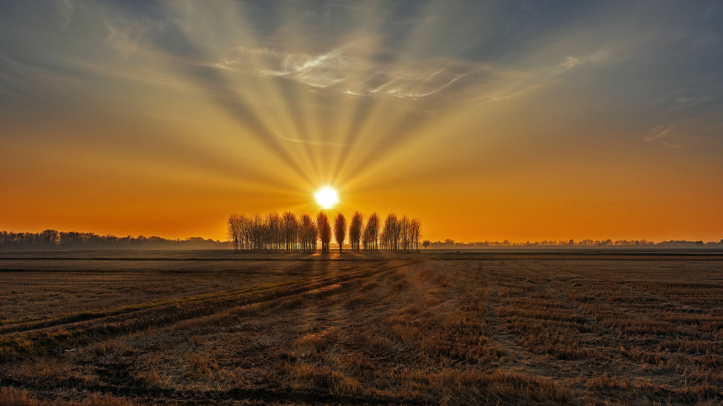 Red in the evening...............