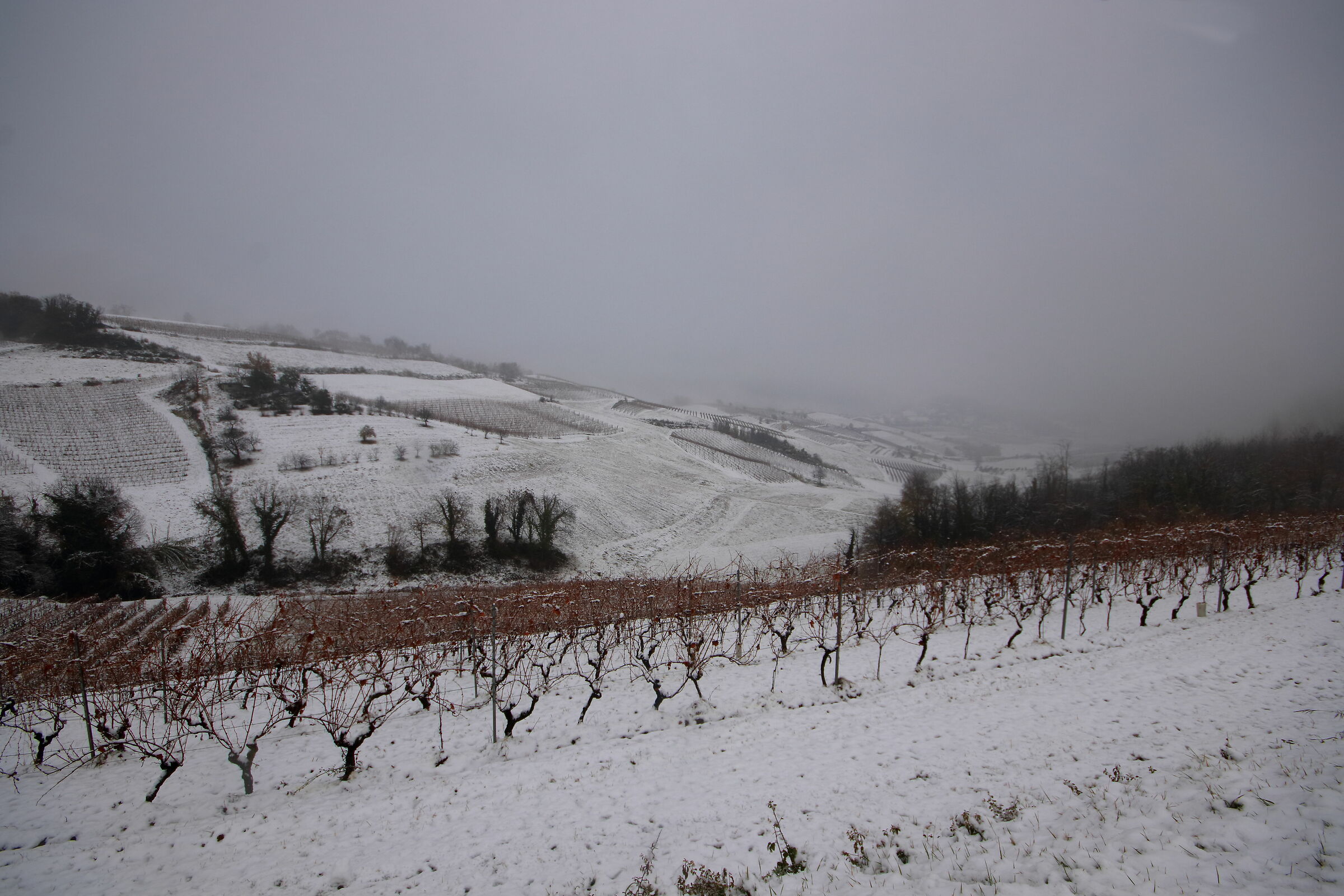 first snow 2020
