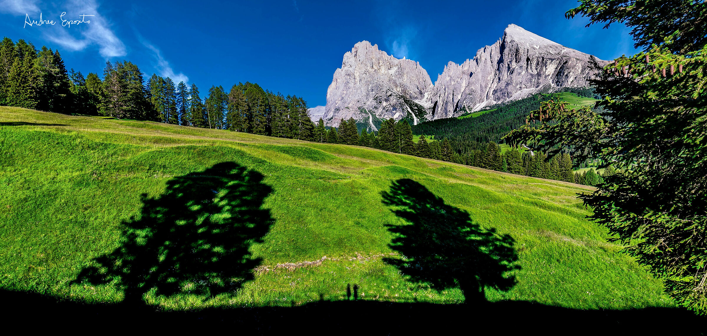 Dolomiti 2020
