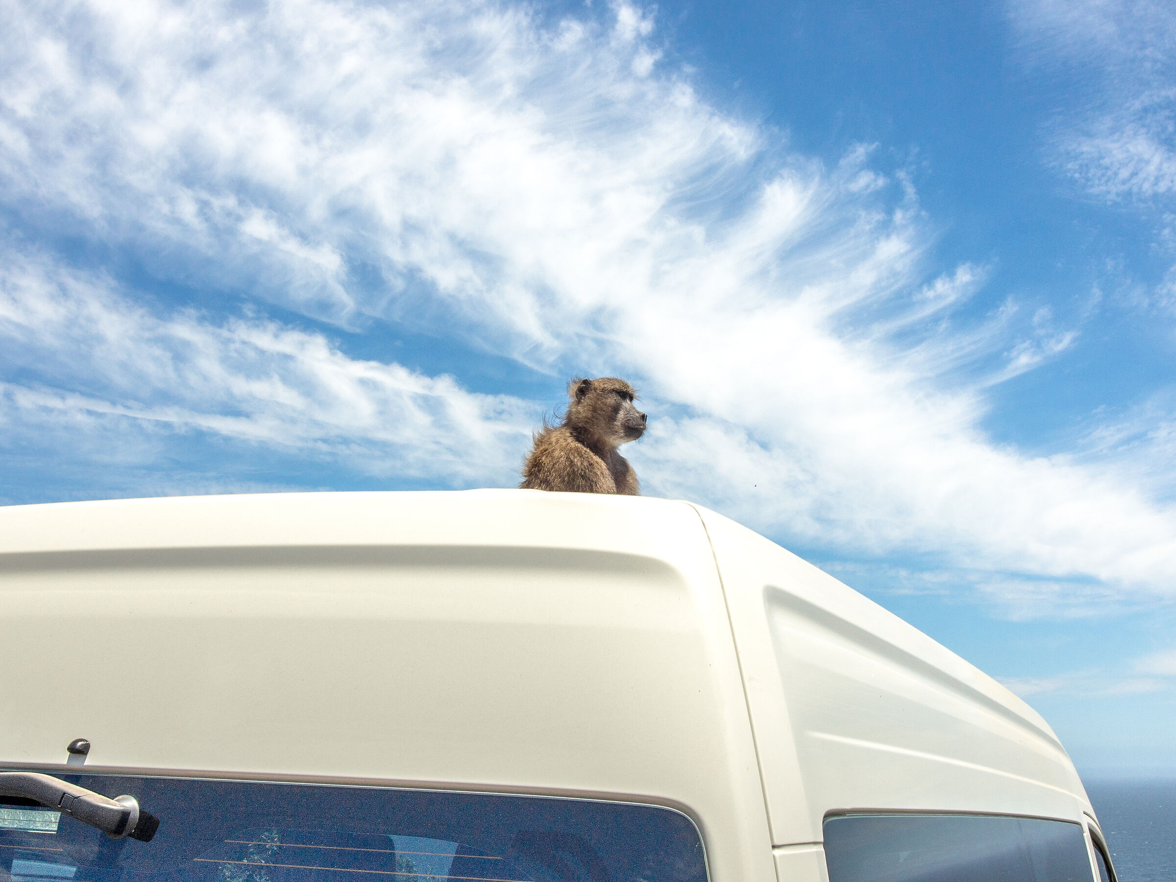 Contemplation, Switzerland