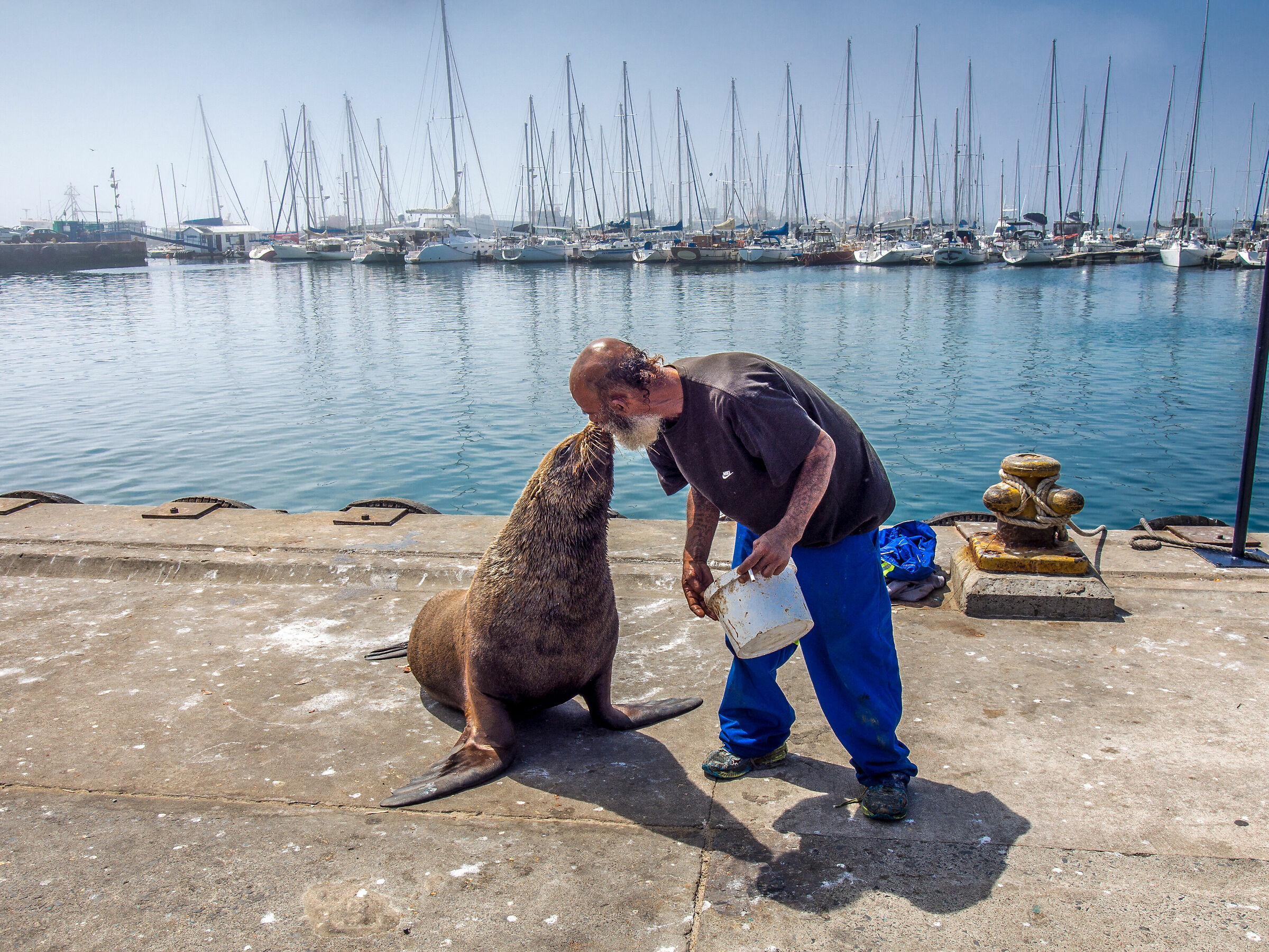 Strange couple in Hout Bay