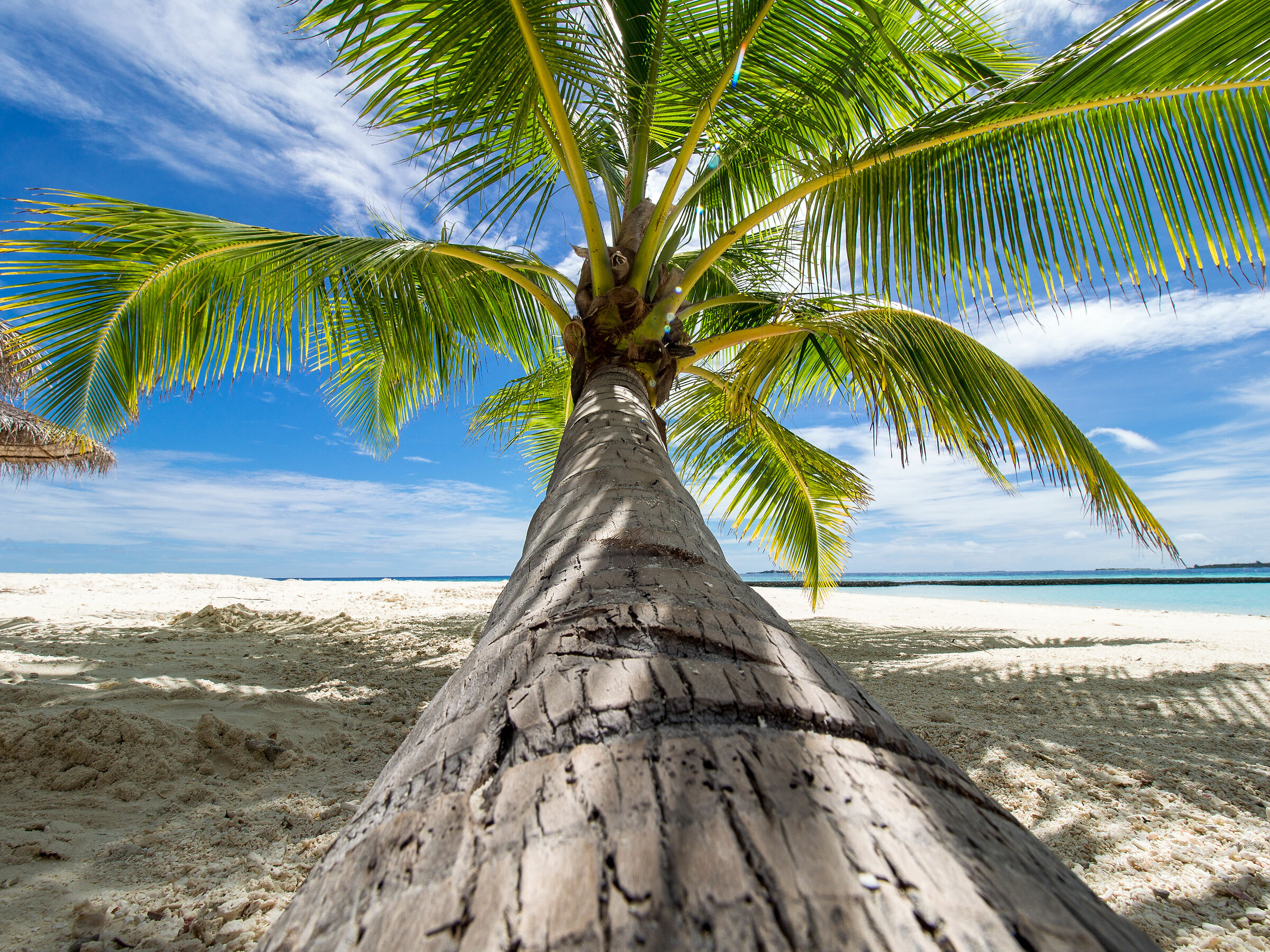 Palm Beach, California