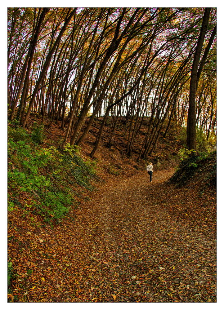 L'autunno 2020 dalle mie parti_03