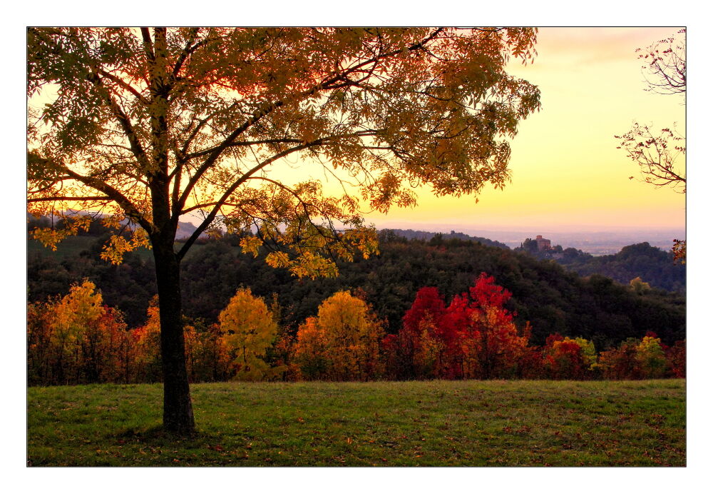 L'autunno 2020 dalle mie parti_04