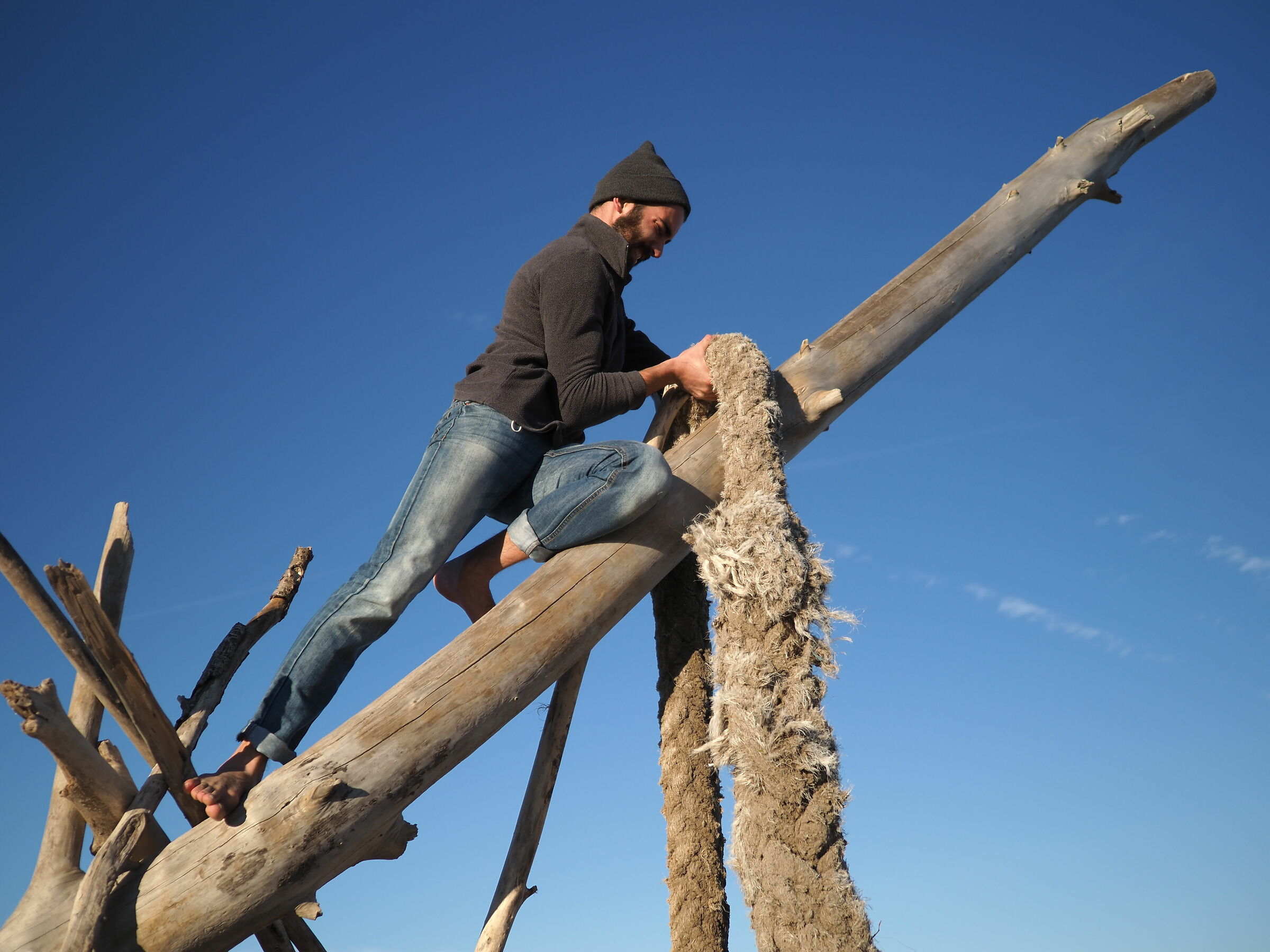 la forza della volontà