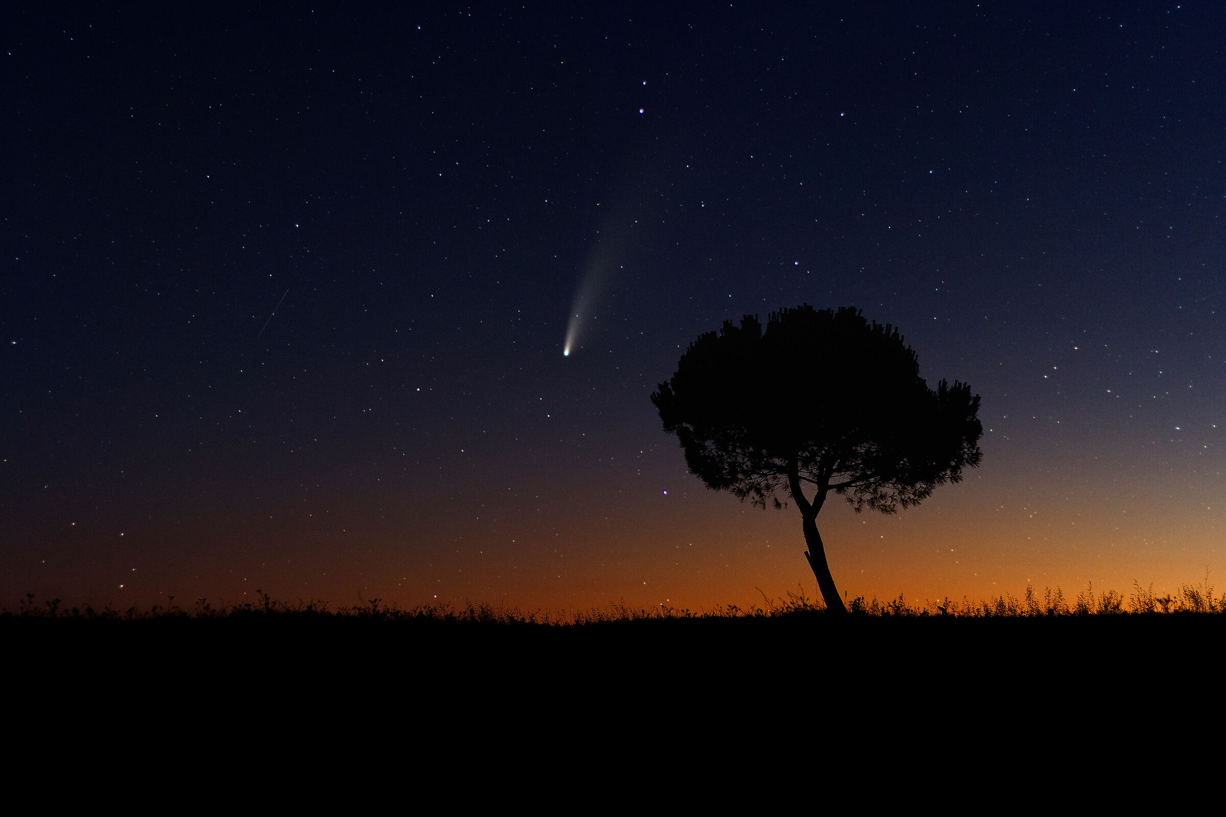 Cometa Neowise in Maremma (19/07/2020)